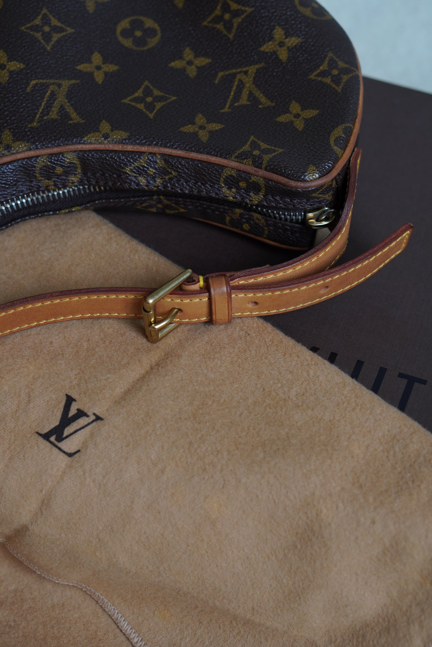 LOUIS VUITTON CROISSANT PM