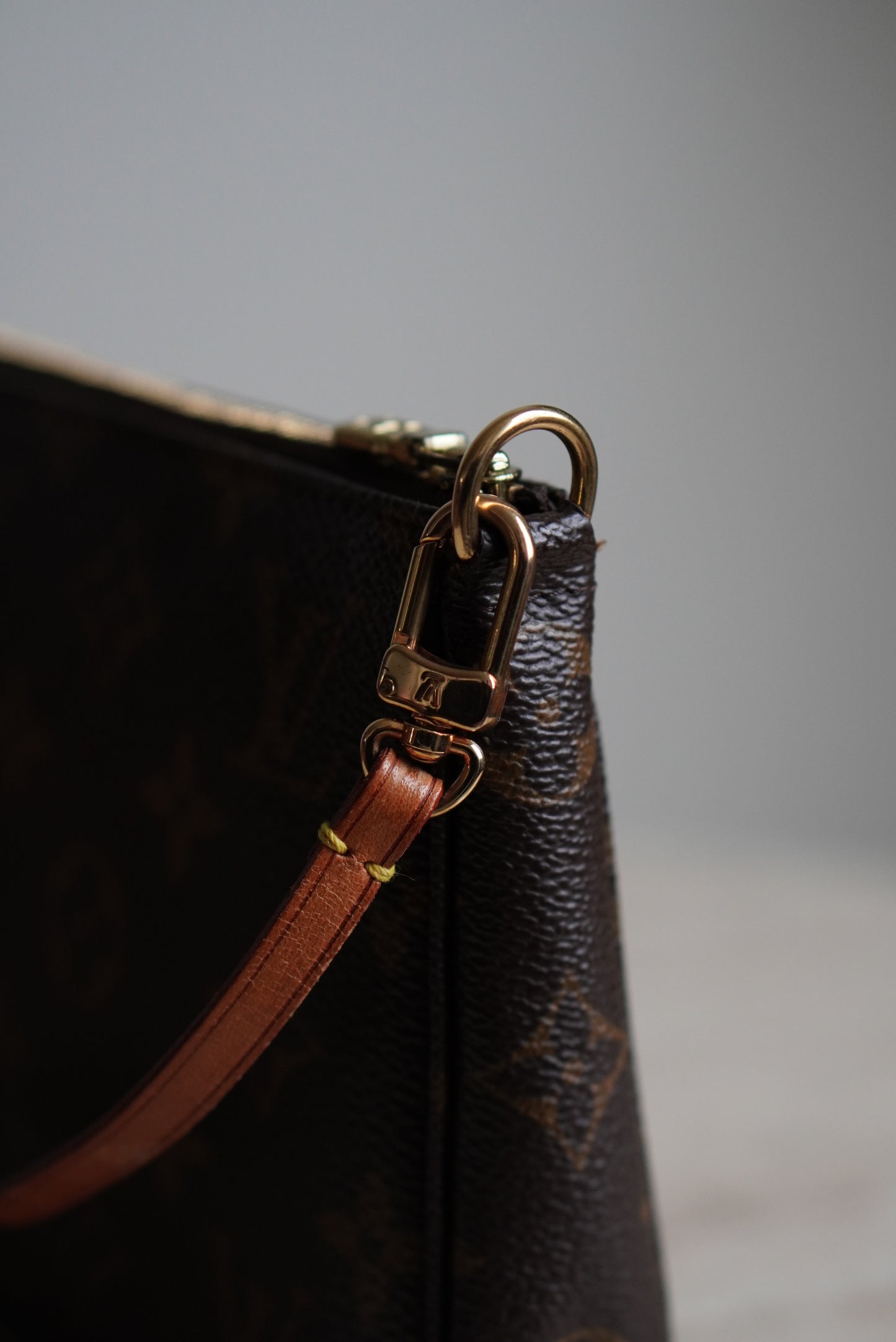LOUIS VUITTON POCHETTE ACCESSOIRES