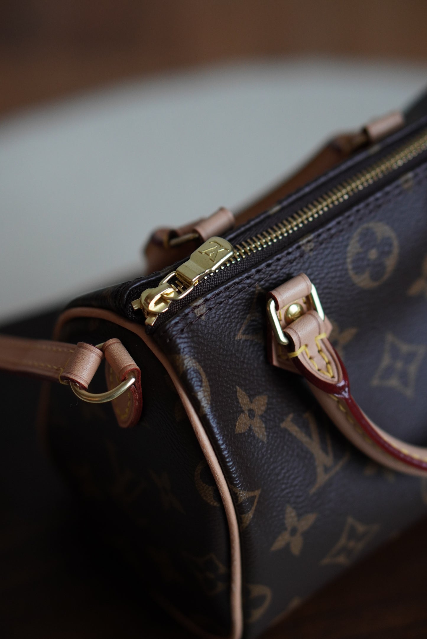 LOUIS VUITTON NANO SPEEDY