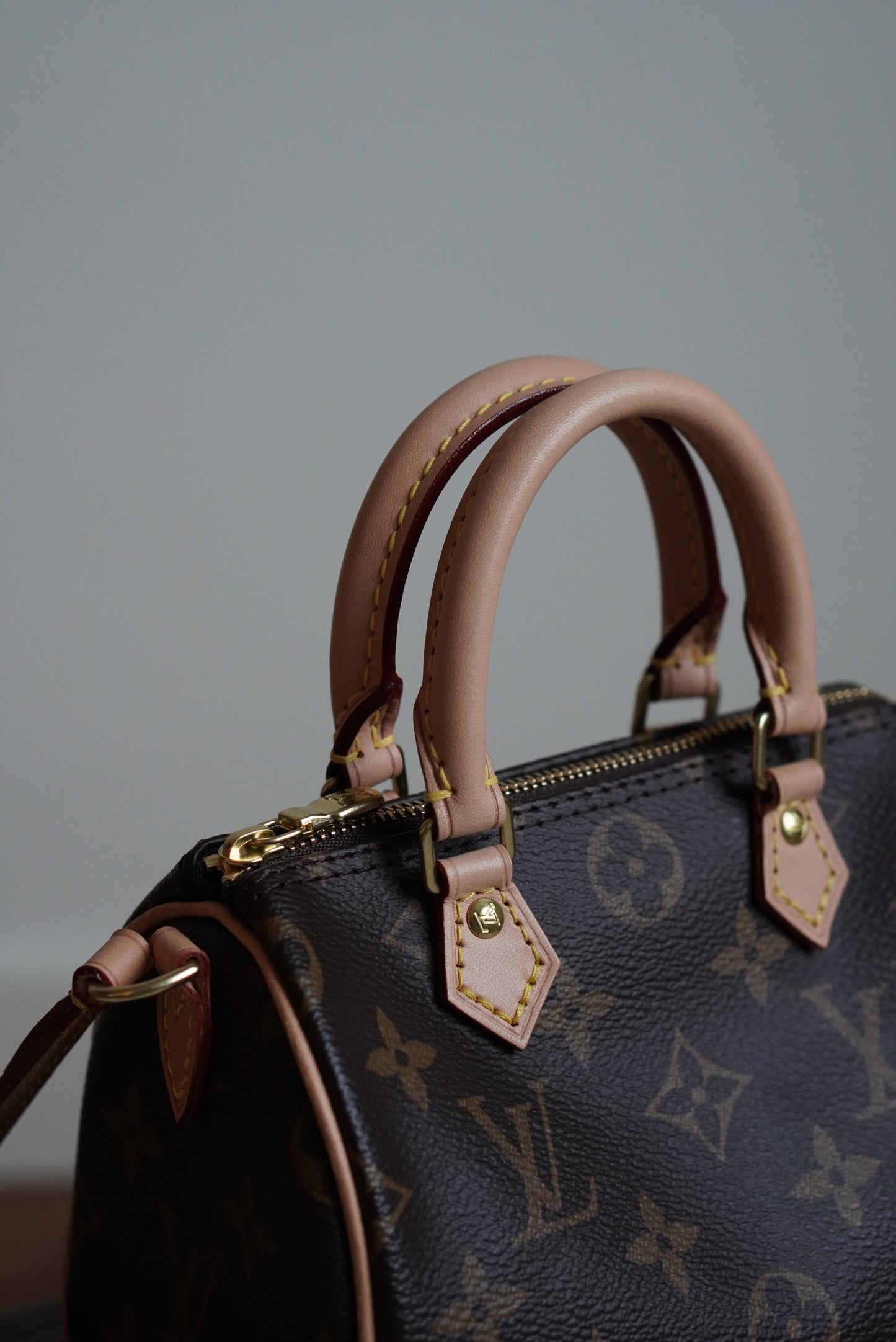 LOUIS VUITTON NANO SPEEDY