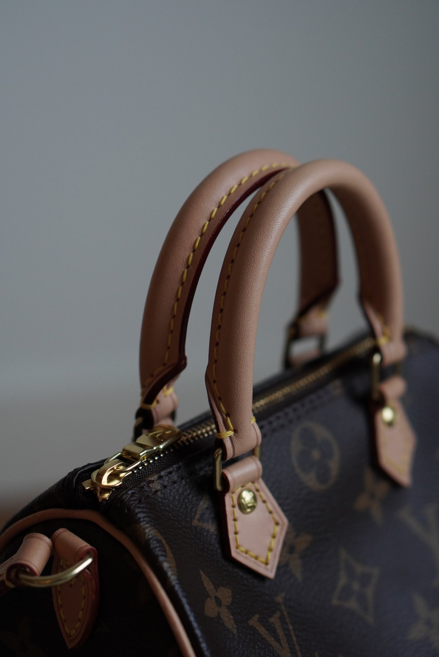 LOUIS VUITTON NANO SPEEDY