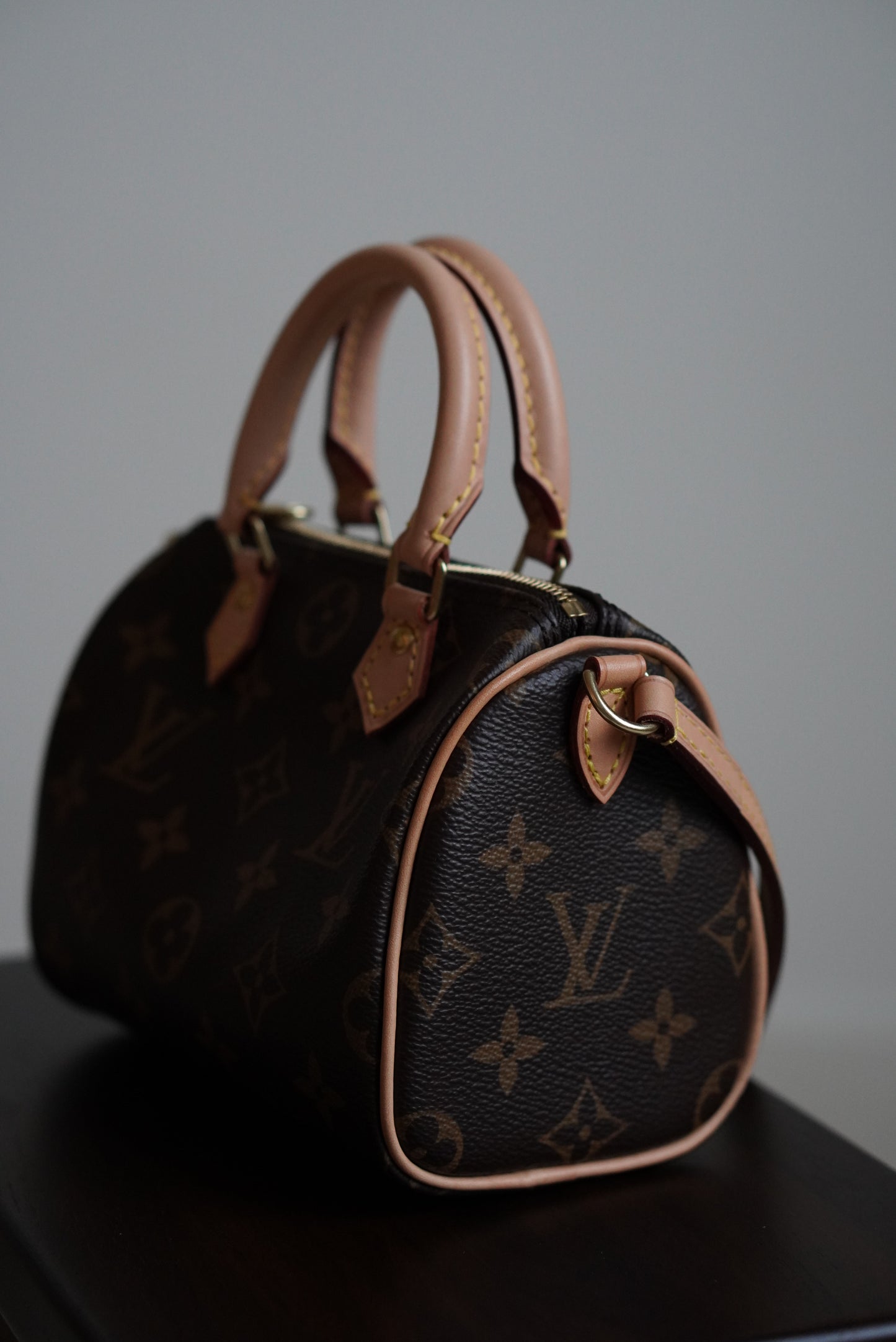 LOUIS VUITTON NANO SPEEDY