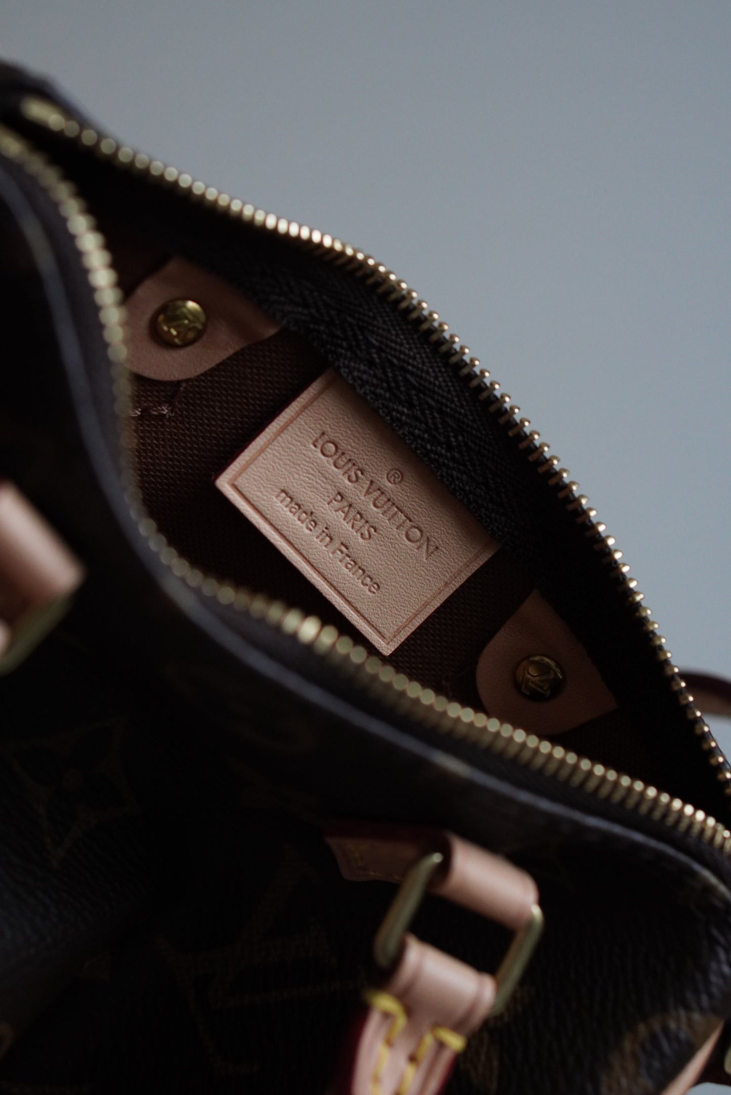 LOUIS VUITTON NANO SPEEDY