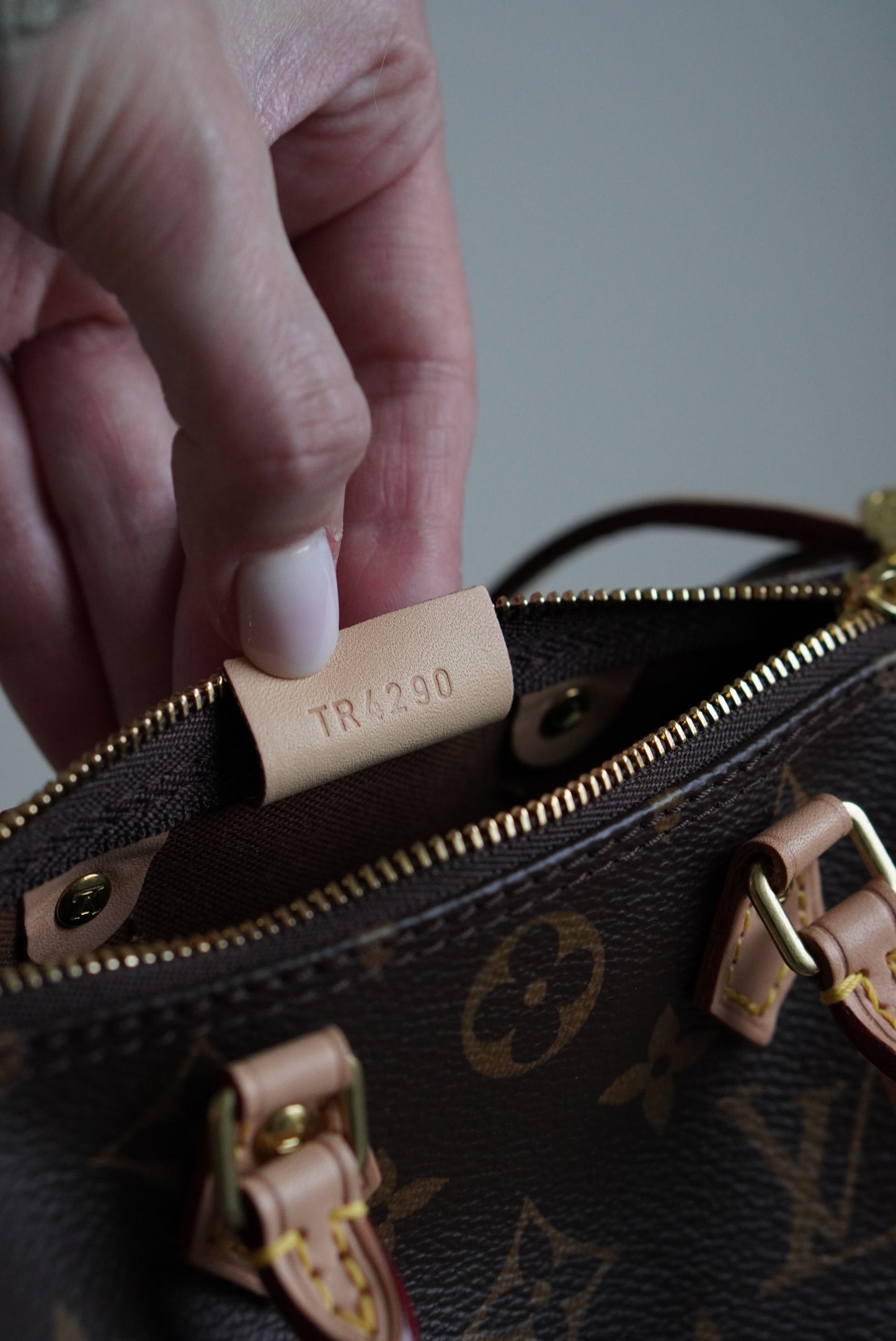 LOUIS VUITTON NANO SPEEDY