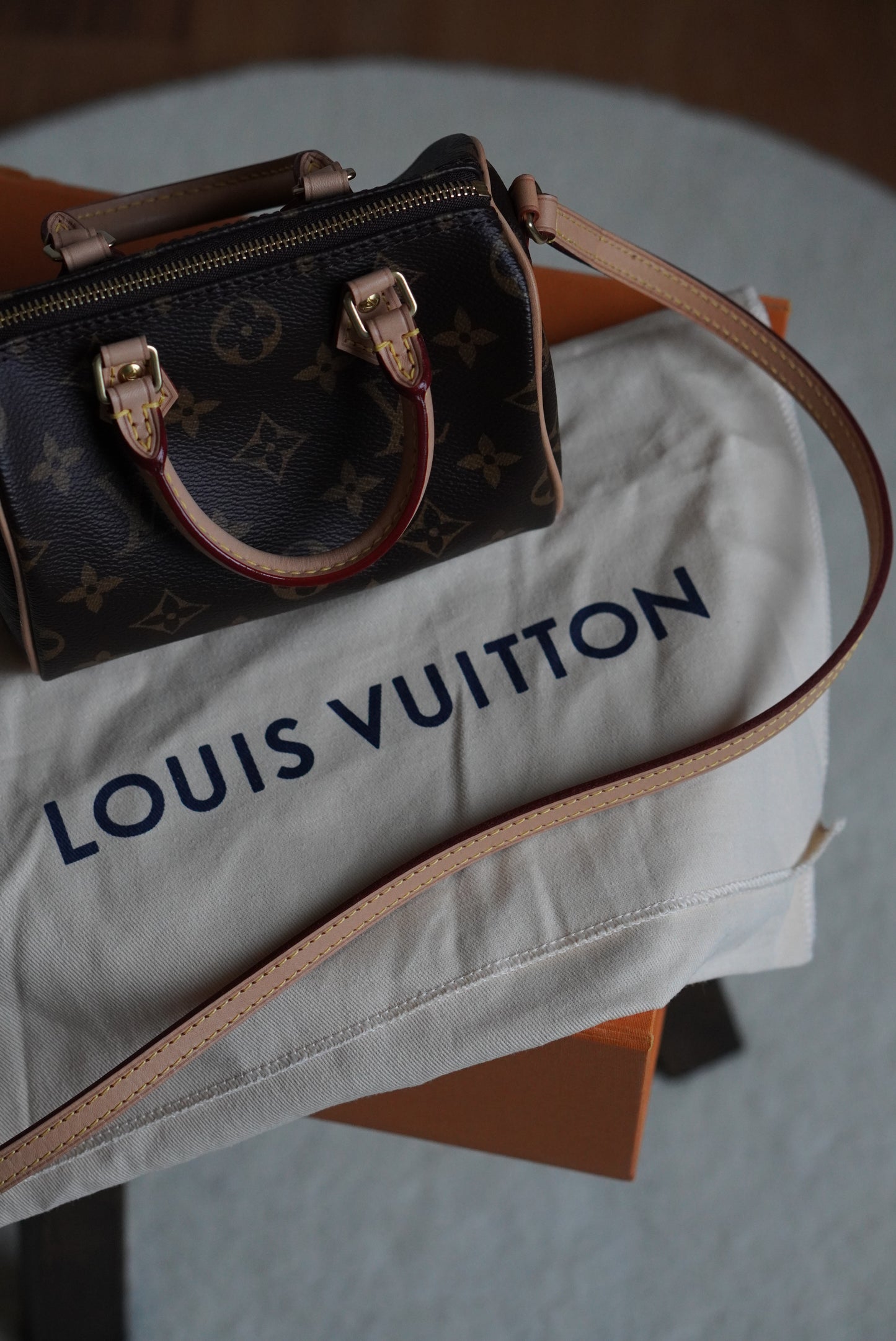 LOUIS VUITTON NANO SPEEDY