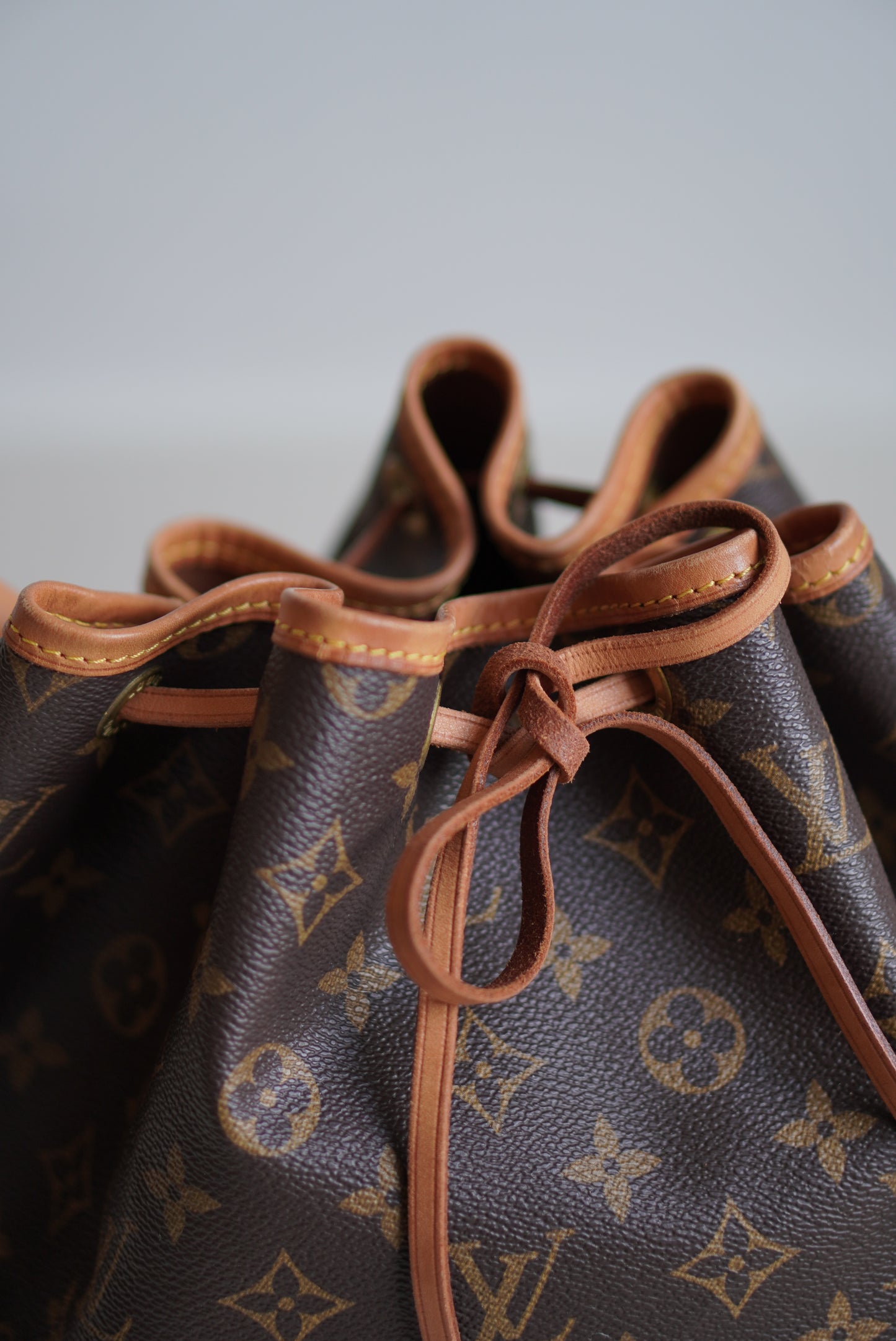 LOUIS VUITTON NOÉ GM