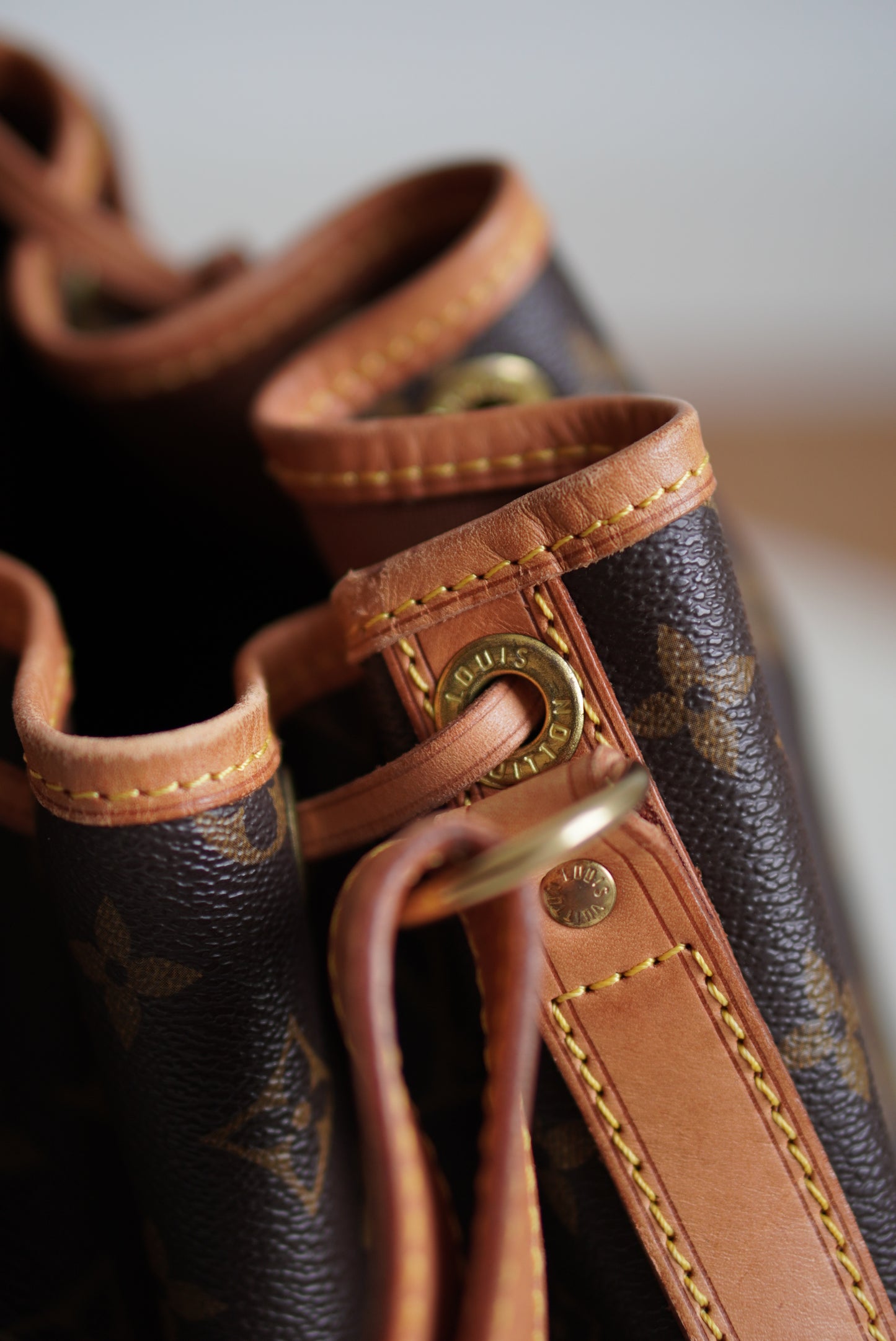 LOUIS VUITTON NOÉ GM