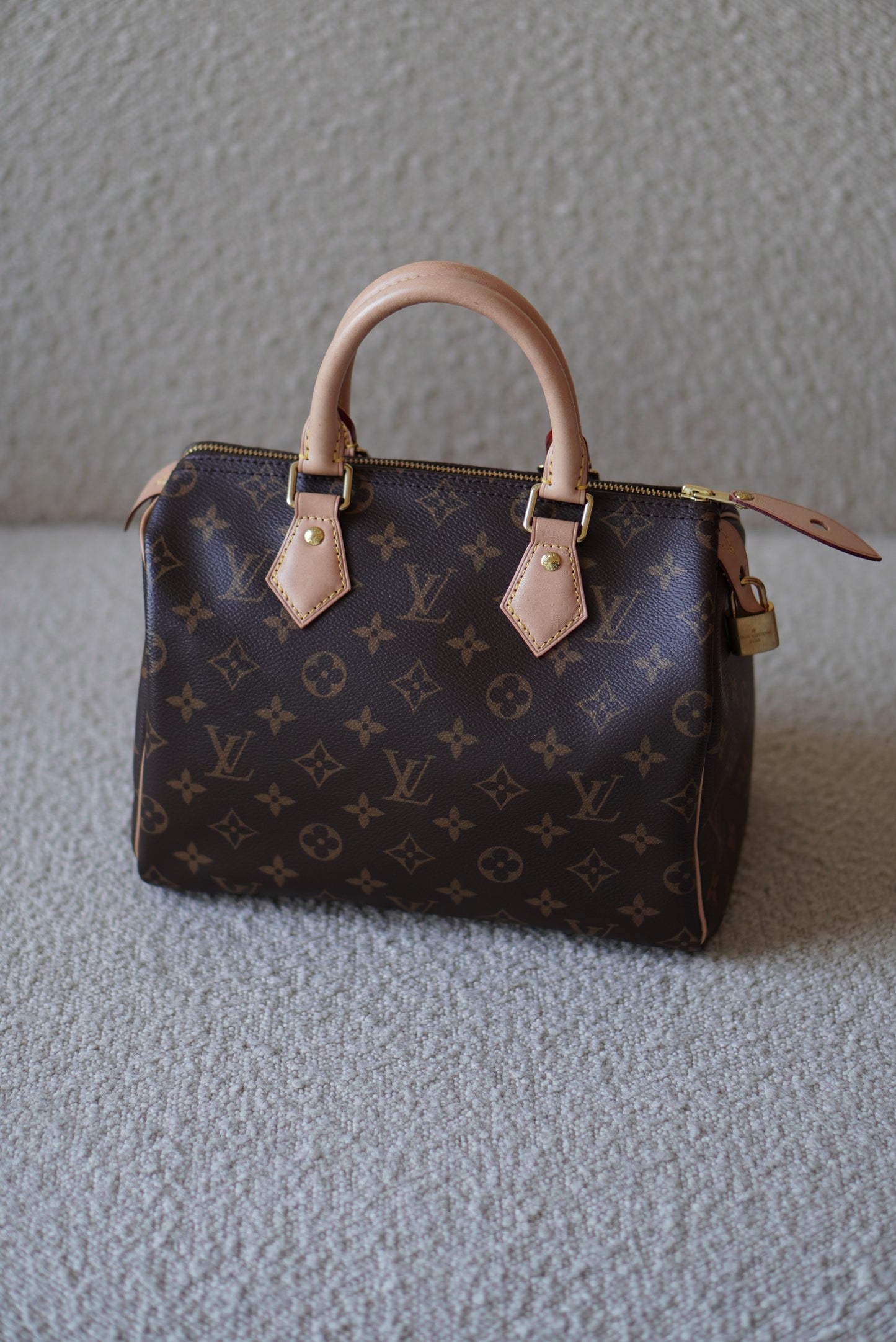 LOUIS VUITTON SPEEDY 25