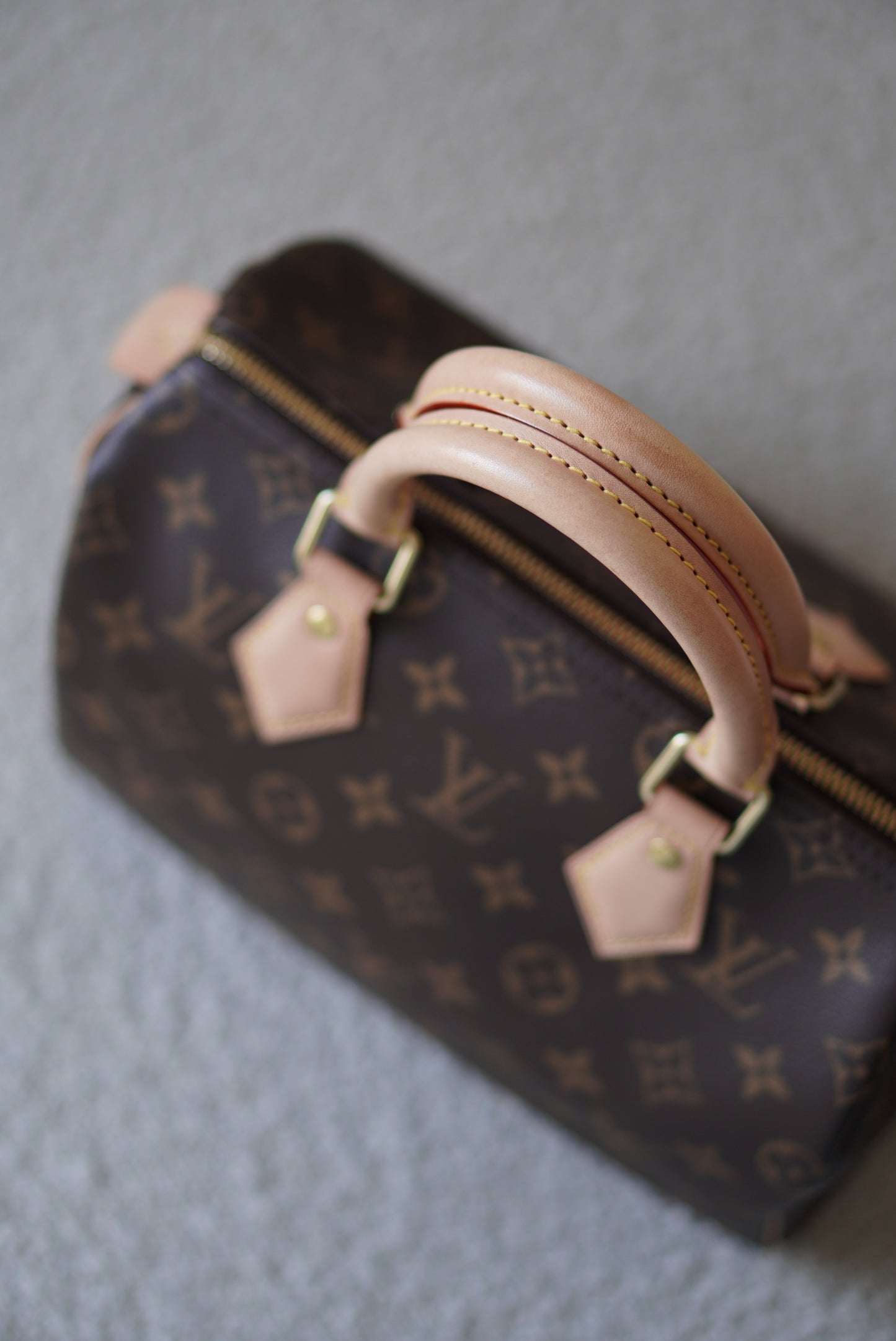 LOUIS VUITTON SPEEDY 25