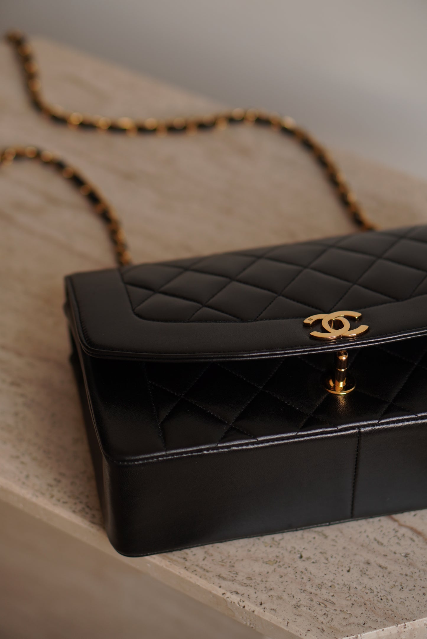CHANEL DIANA MEDIUM FLAP BAG
