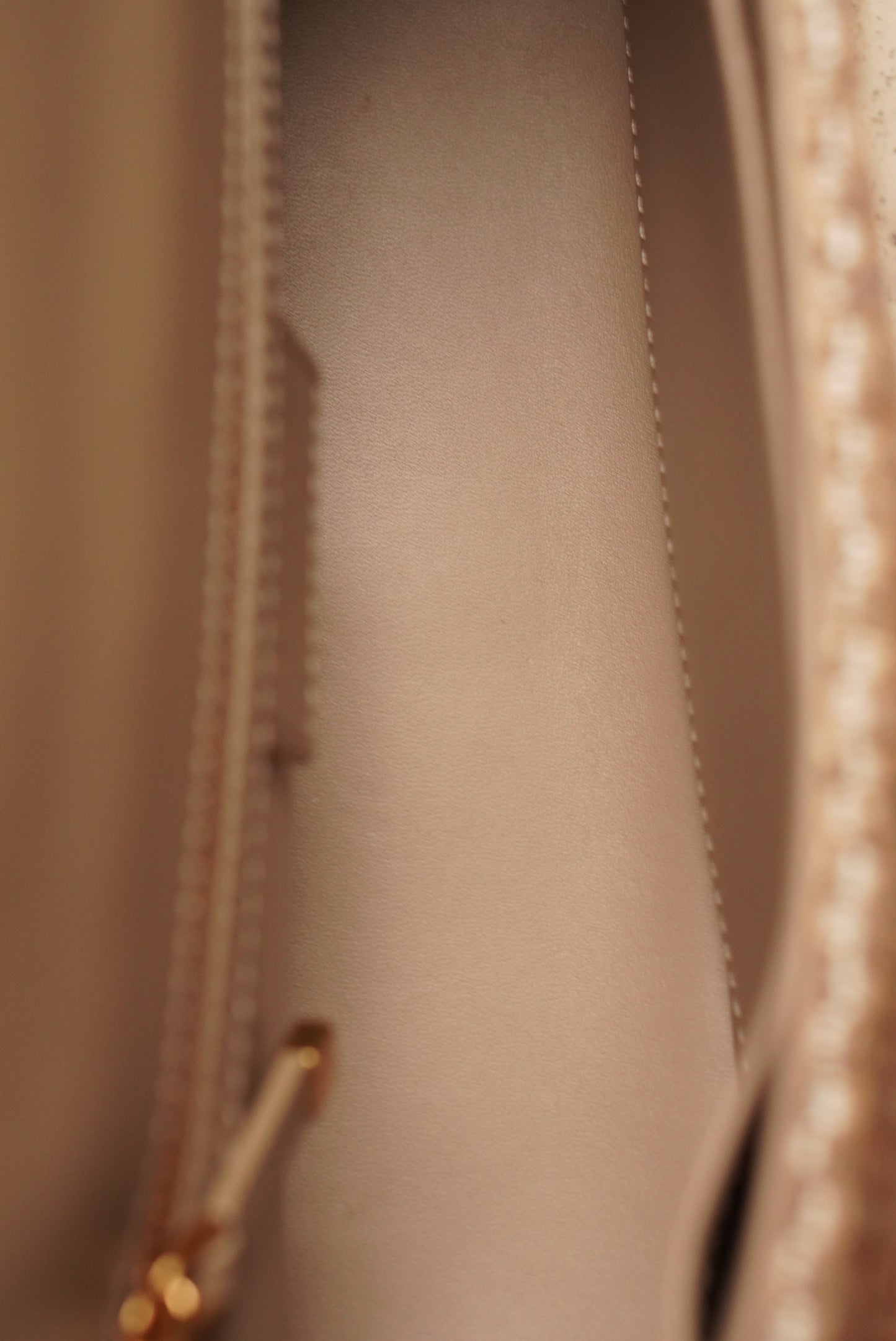 DIOR CARO MEDIUM TWEED | BEIGE