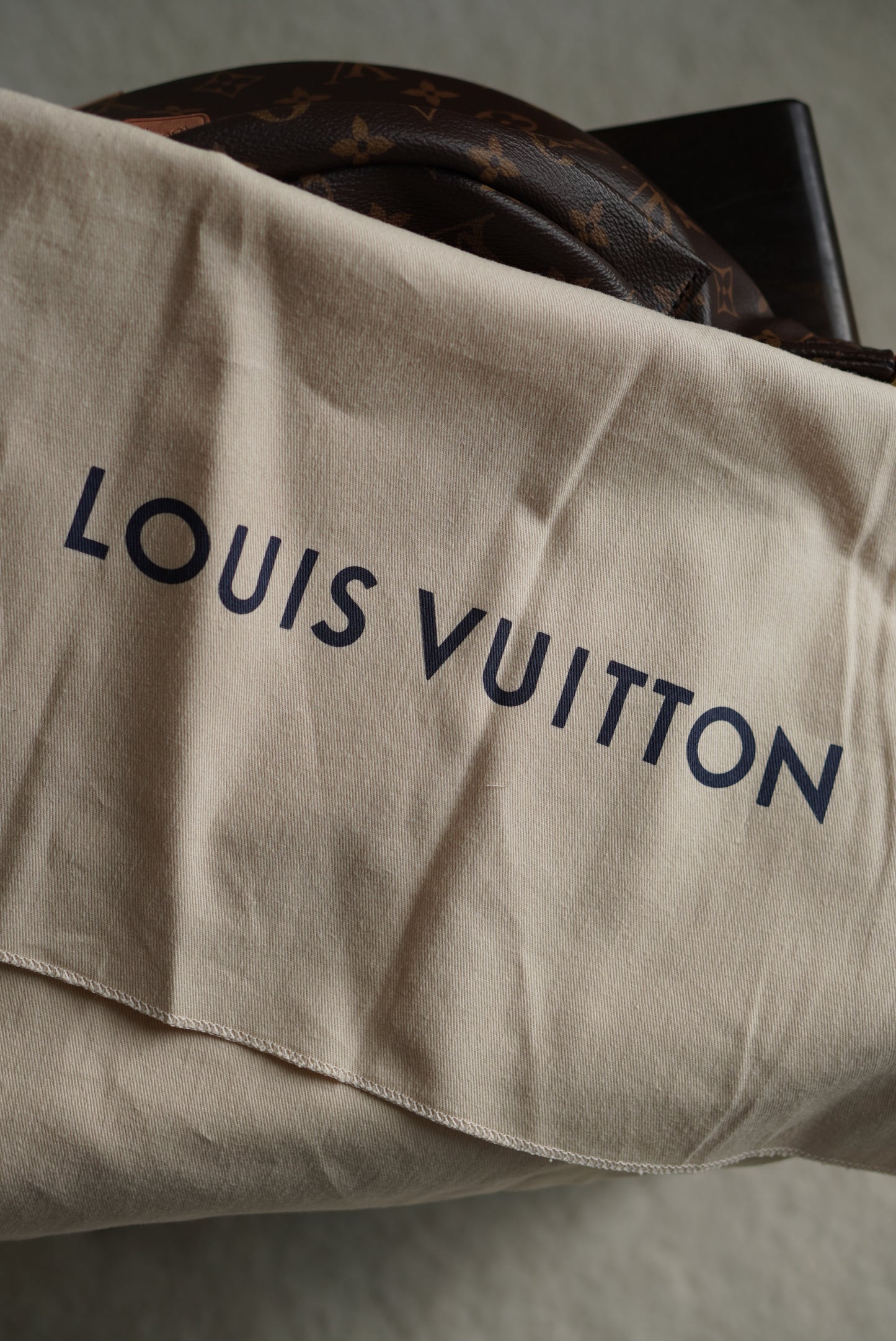 LOUIS VUITTON BUMBAG