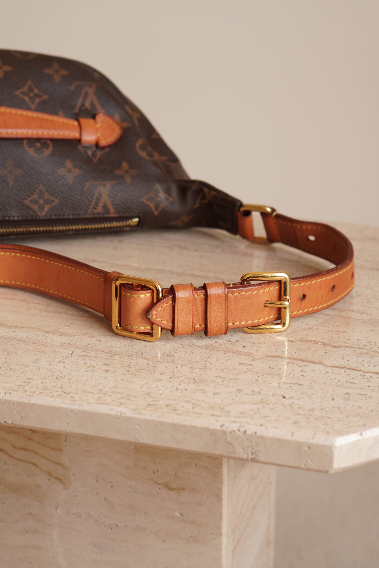 LOUIS VUITTON BUMBAG