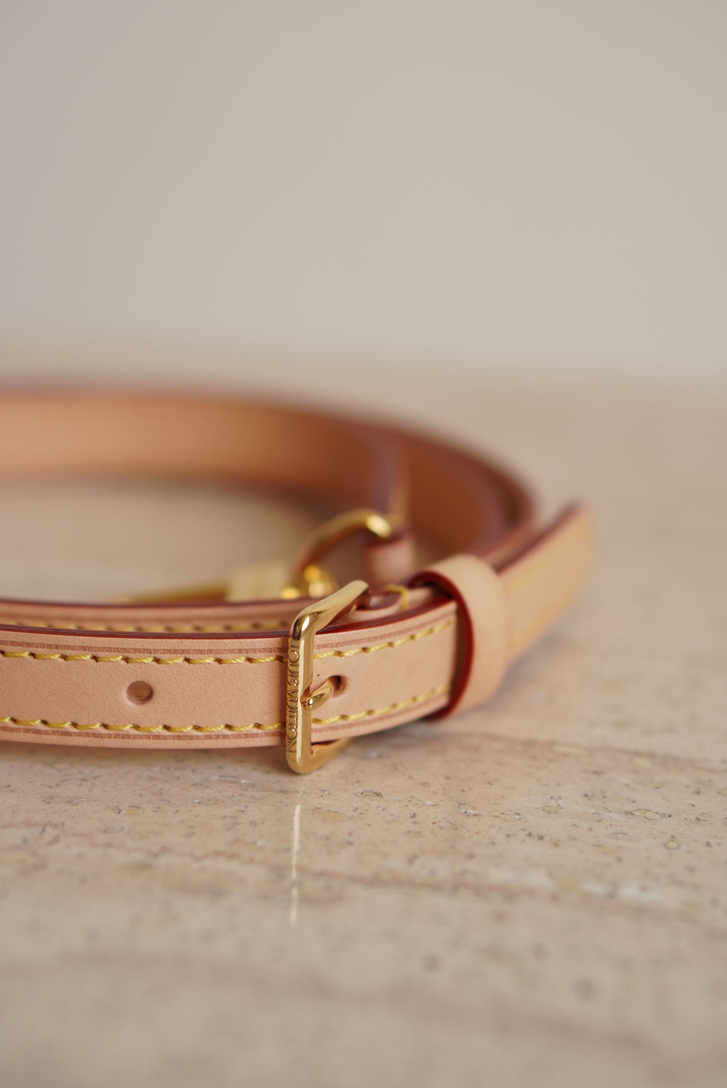 LOUIS VUITTON NANO SPEEDY VALENTINE