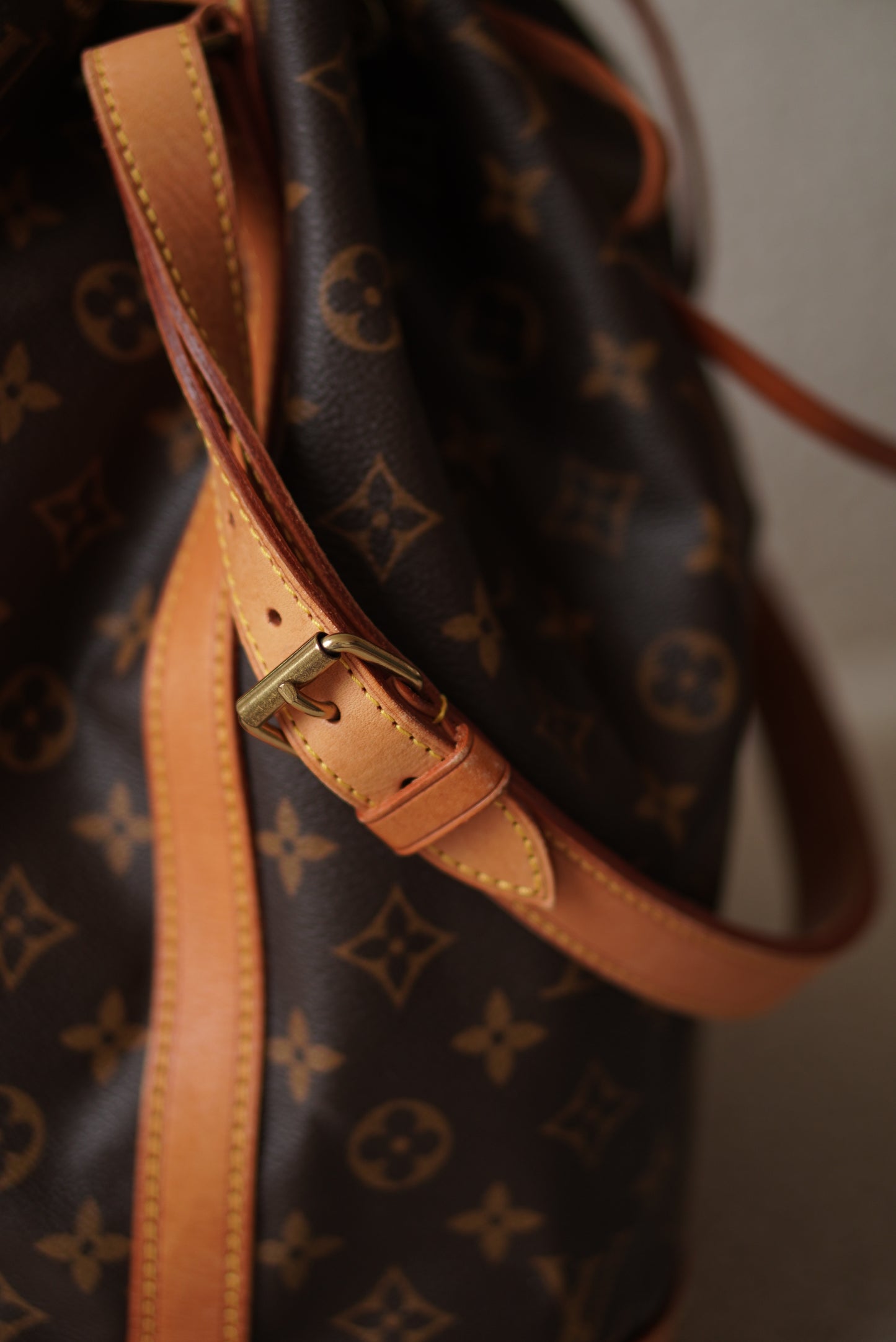 LOUIS VUITTON NOÉ GM