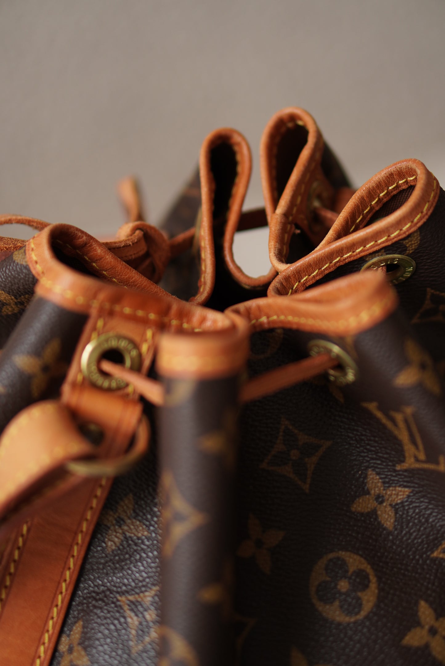 LOUIS VUITTON NOÉ GM
