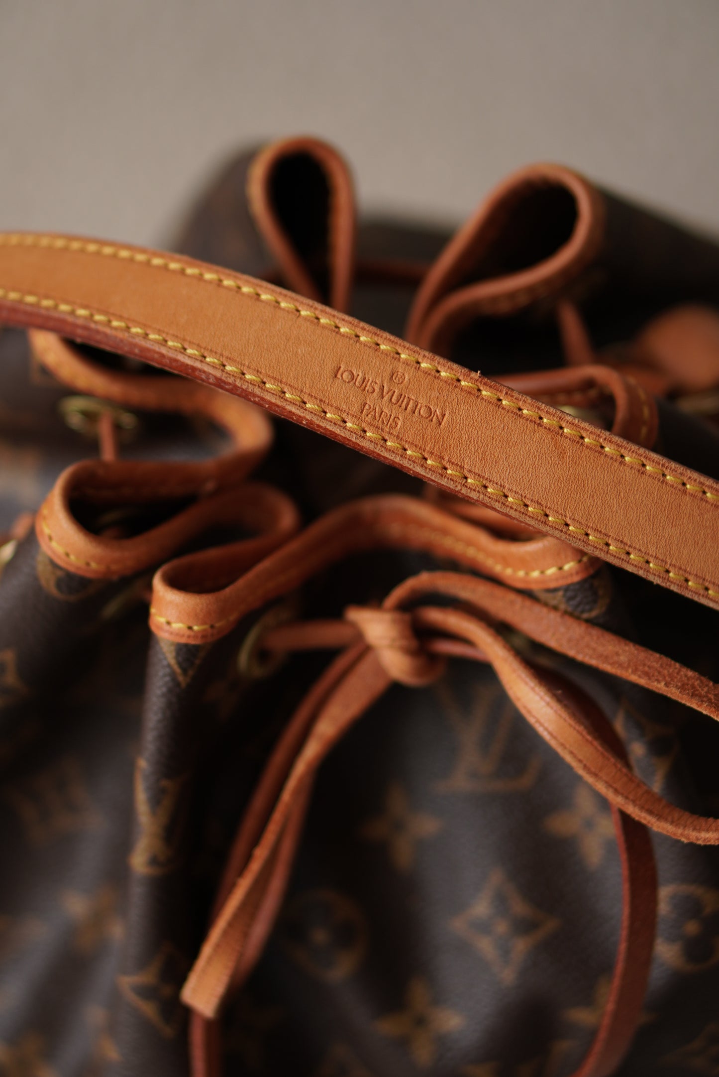 LOUIS VUITTON NOÉ GM