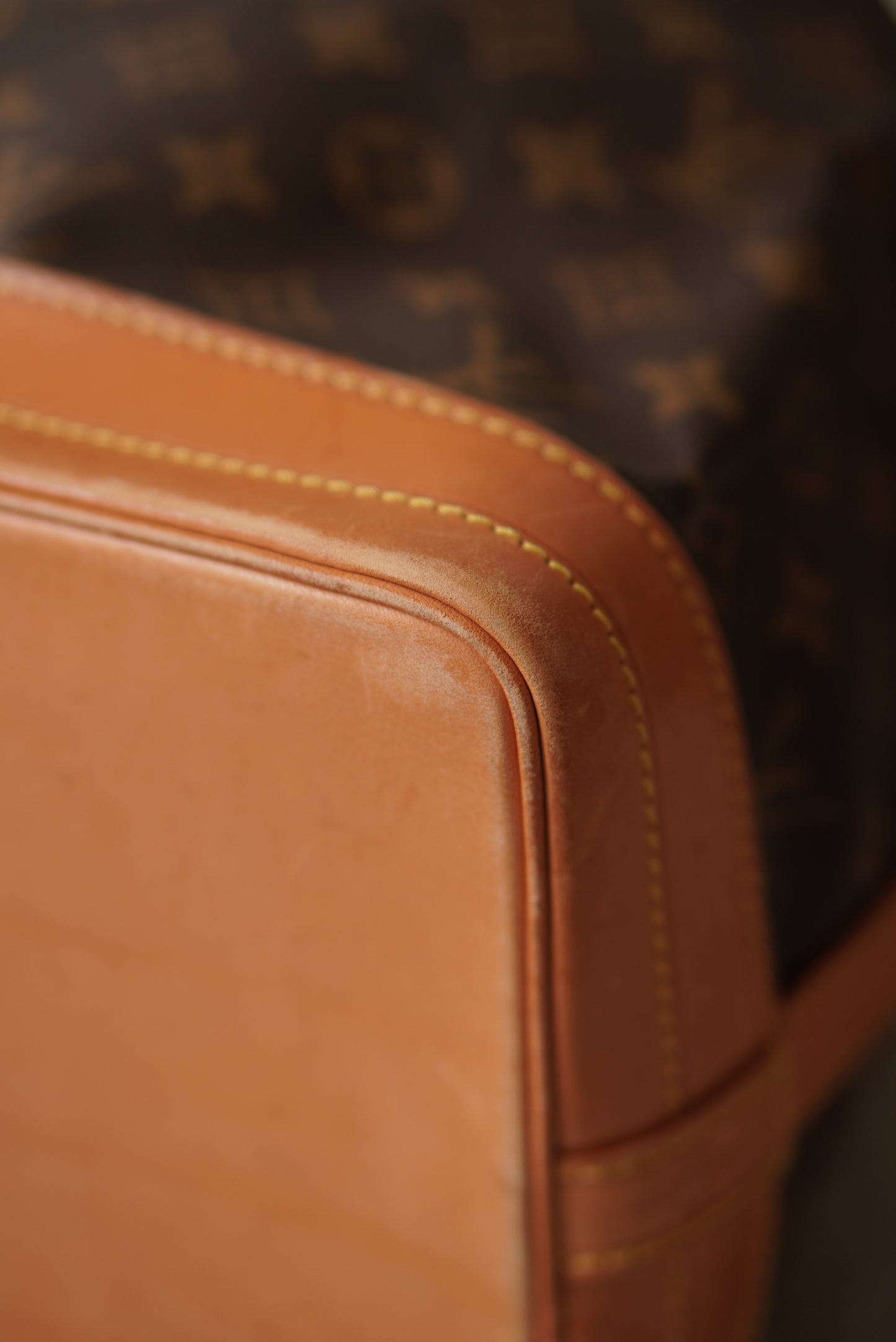 LOUIS VUITTON NOÉ GM