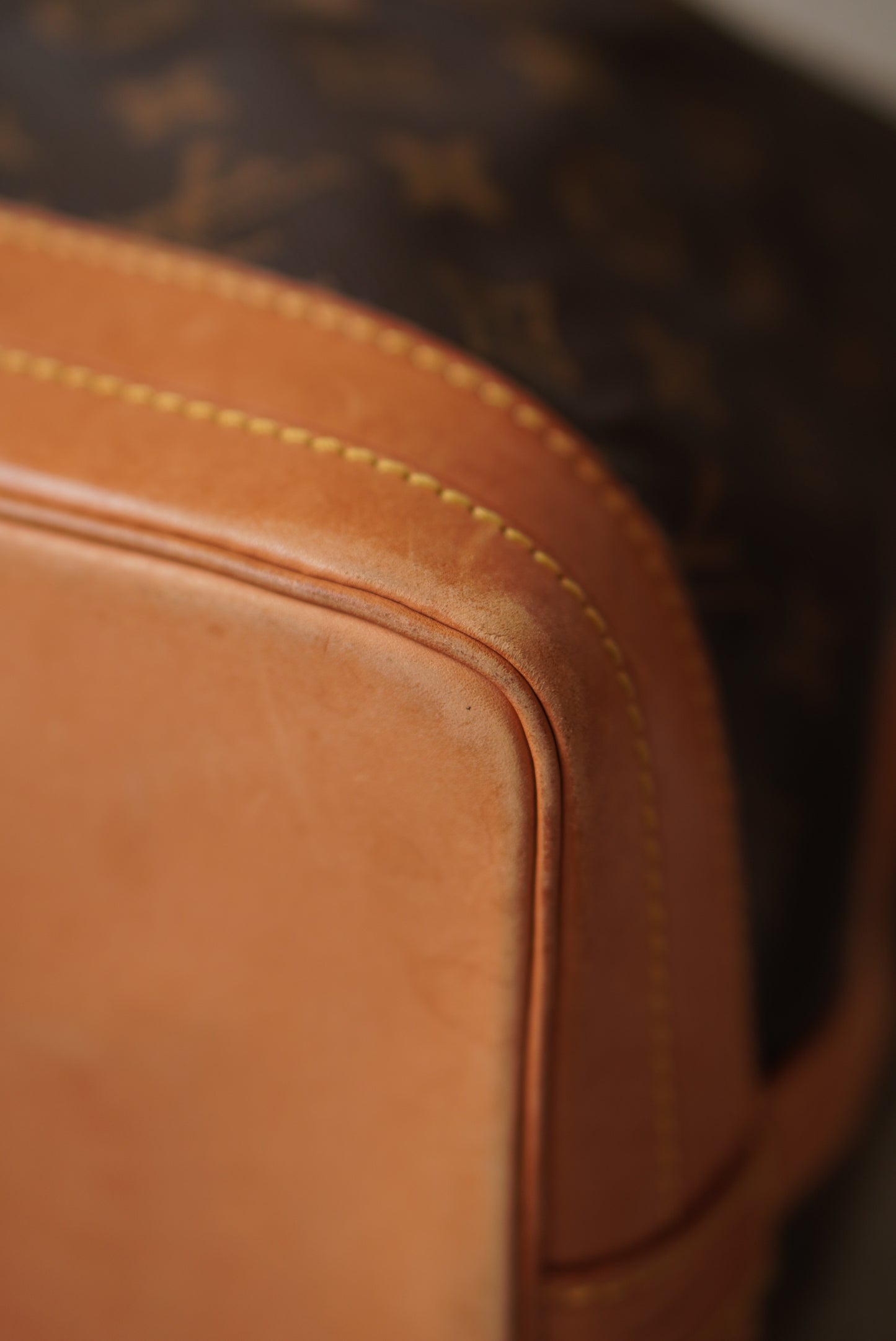 LOUIS VUITTON NOÉ GM