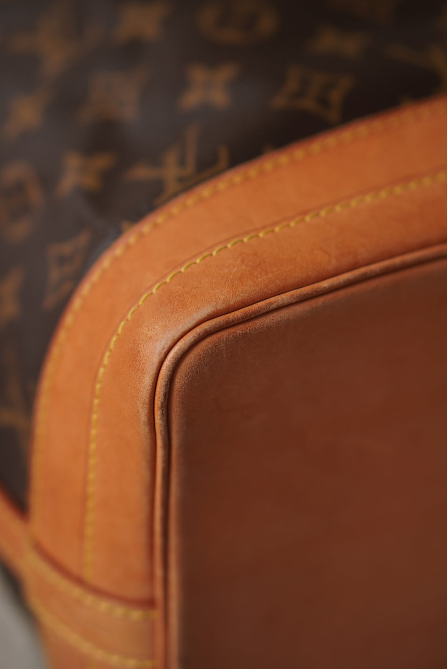 LOUIS VUITTON NOÉ GM