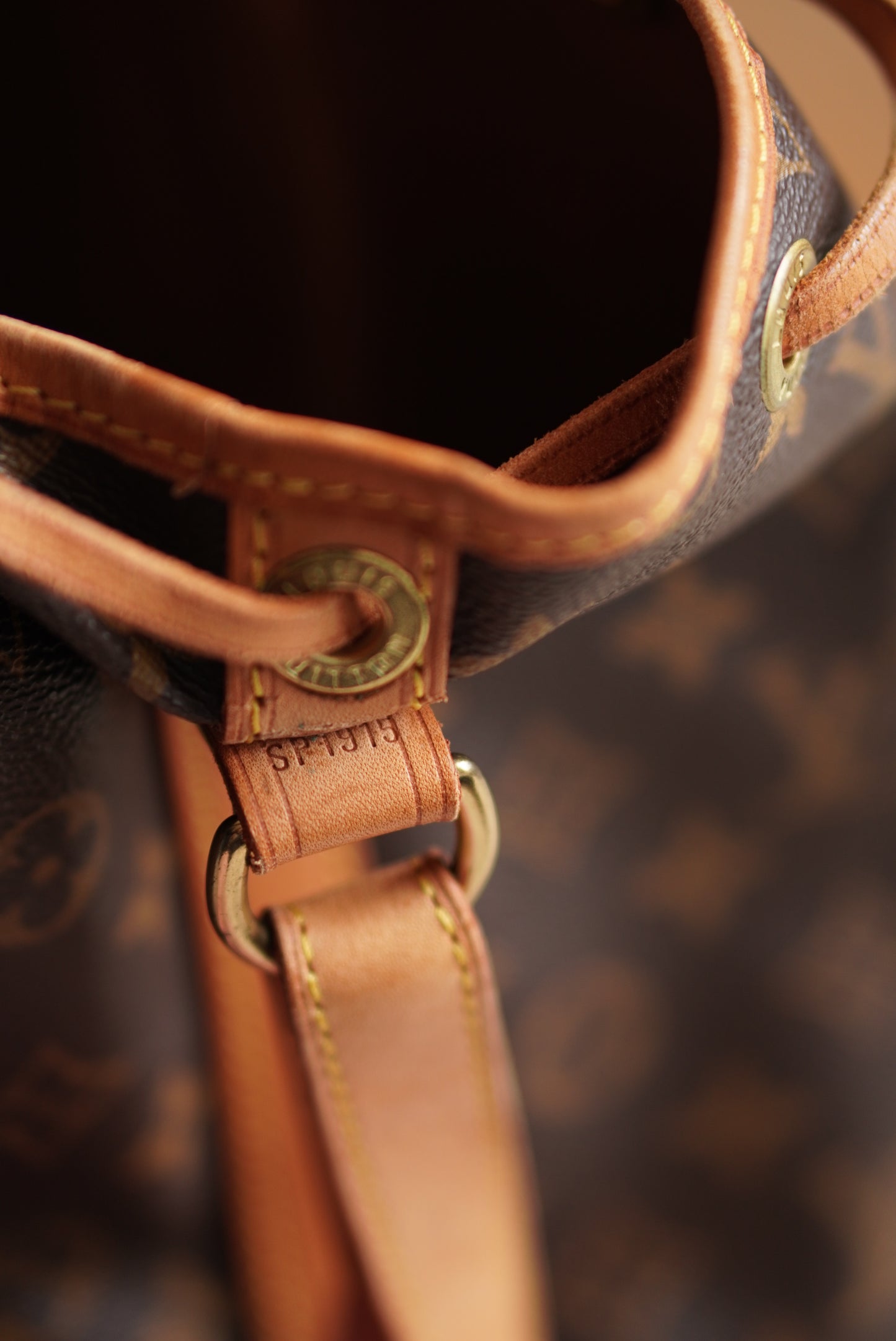 LOUIS VUITTON NOÉ GM