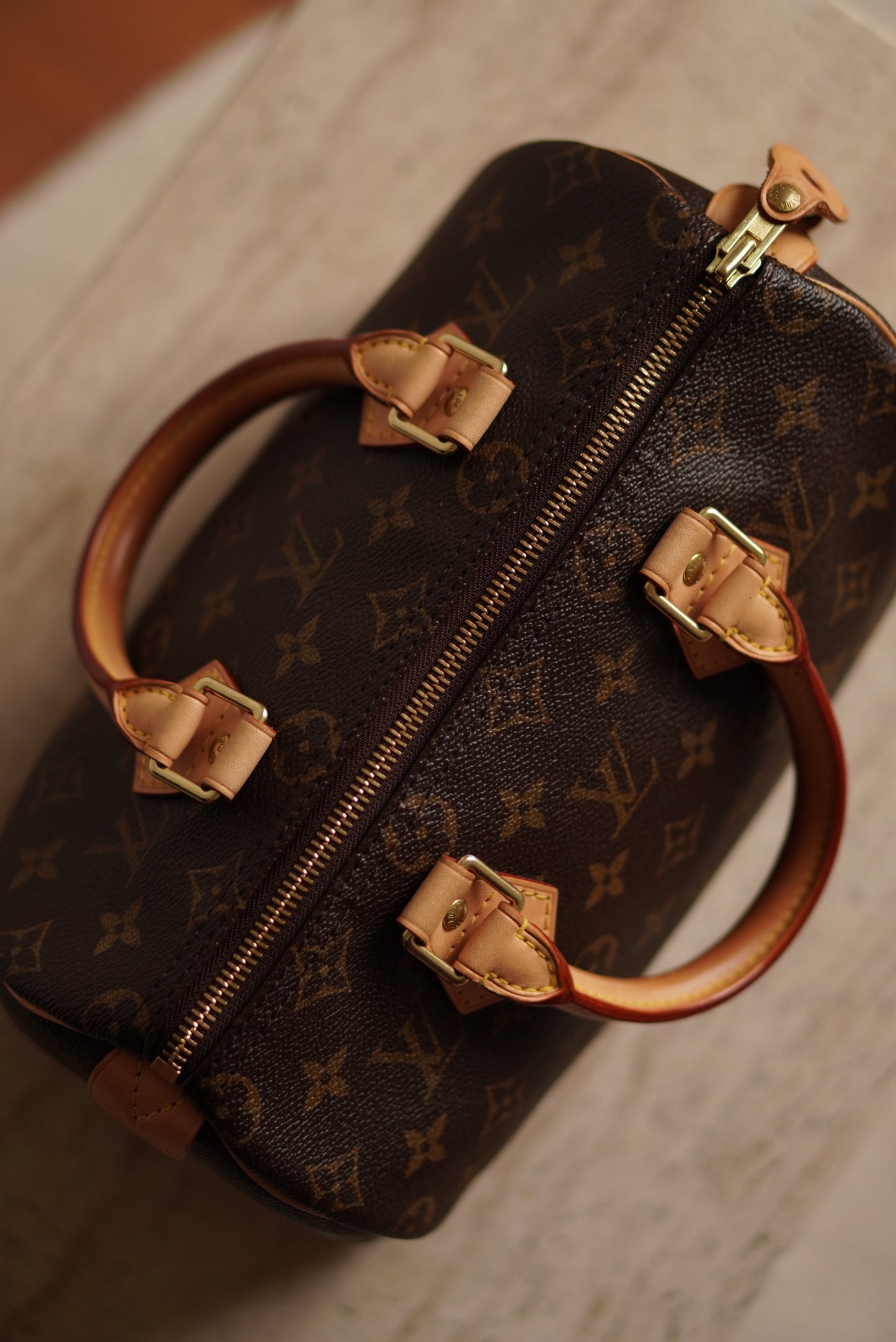 LOUIS VUITTON SPEEDY 25