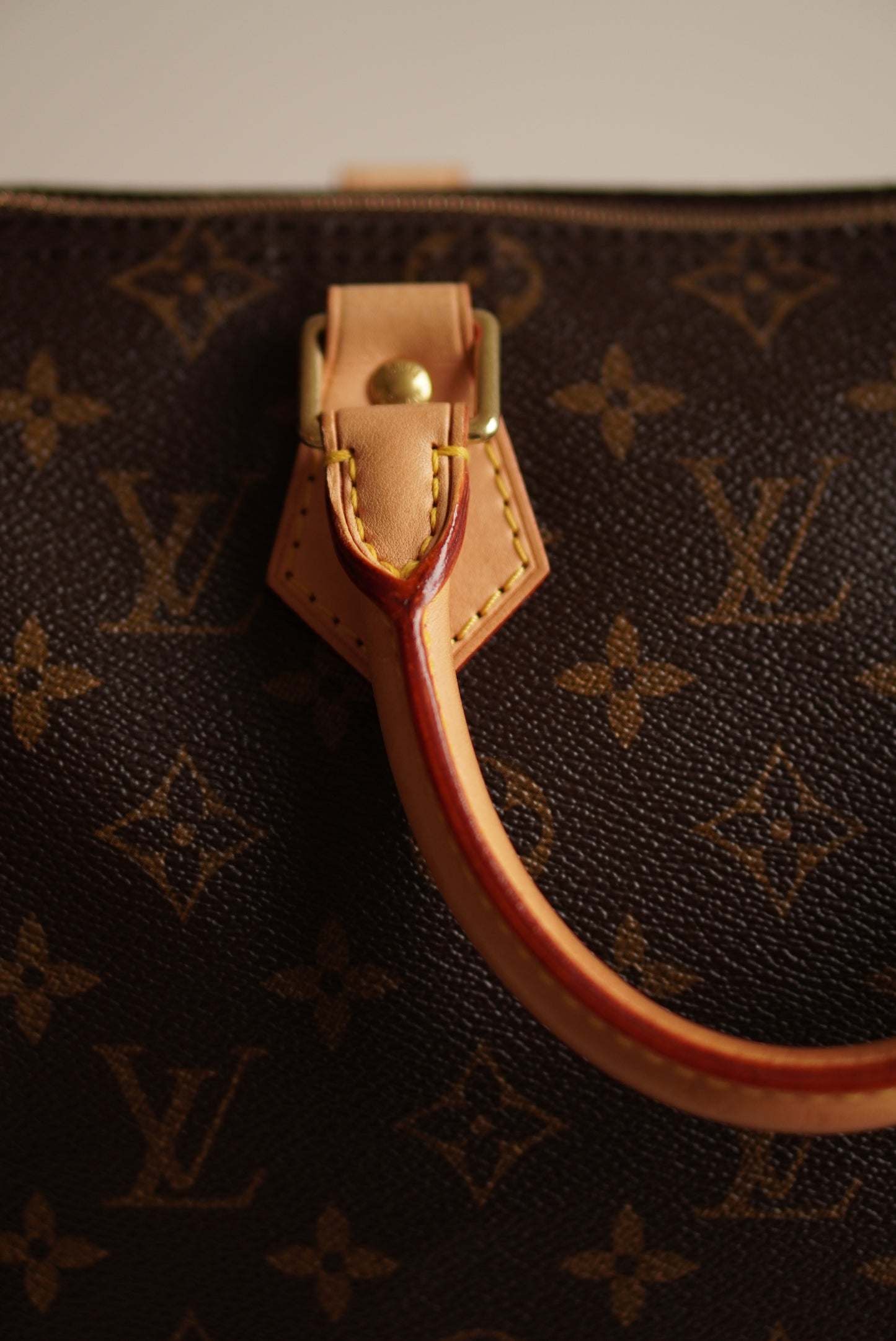 LOUIS VUITTON SPEEDY 25