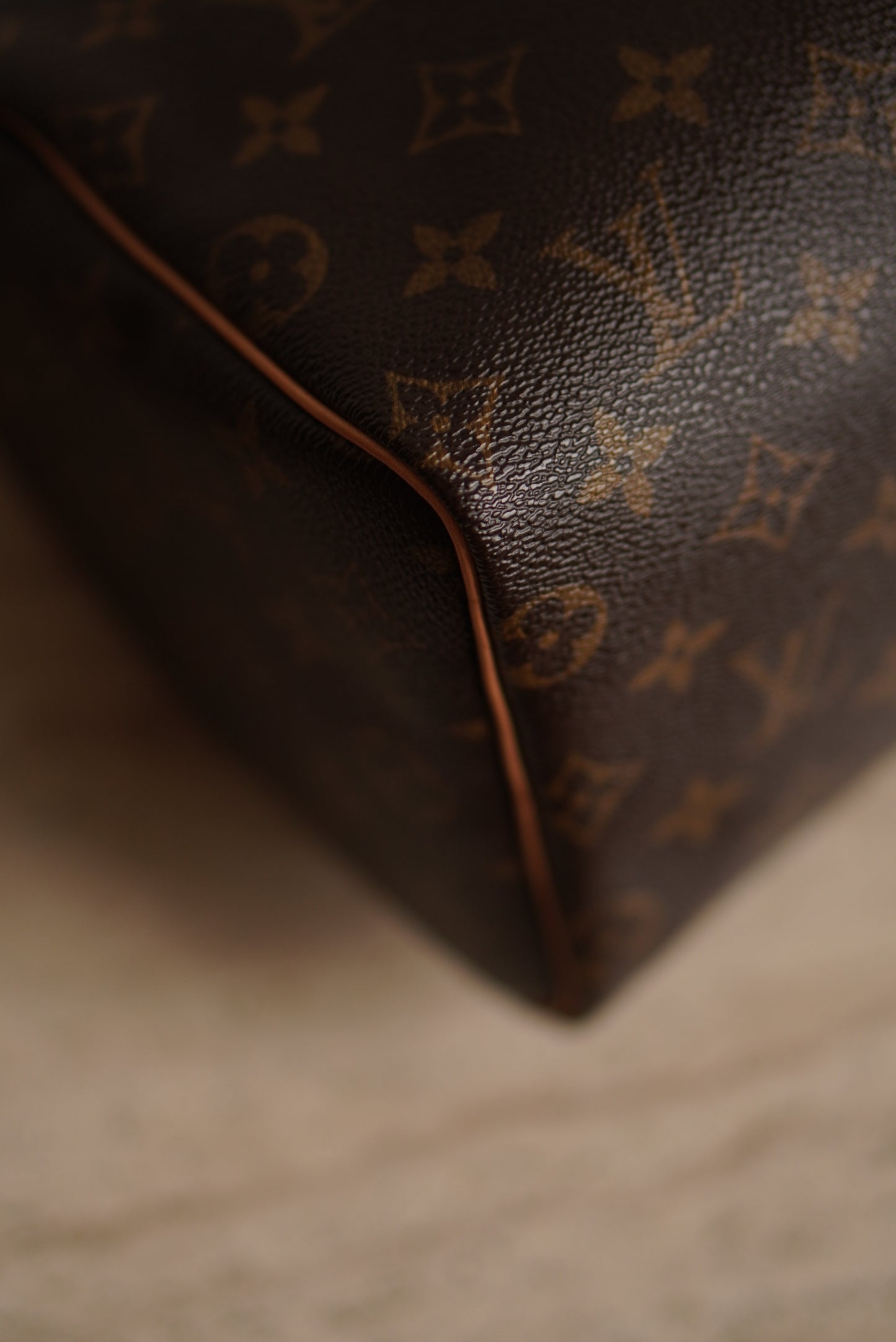 LOUIS VUITTON SPEEDY 25