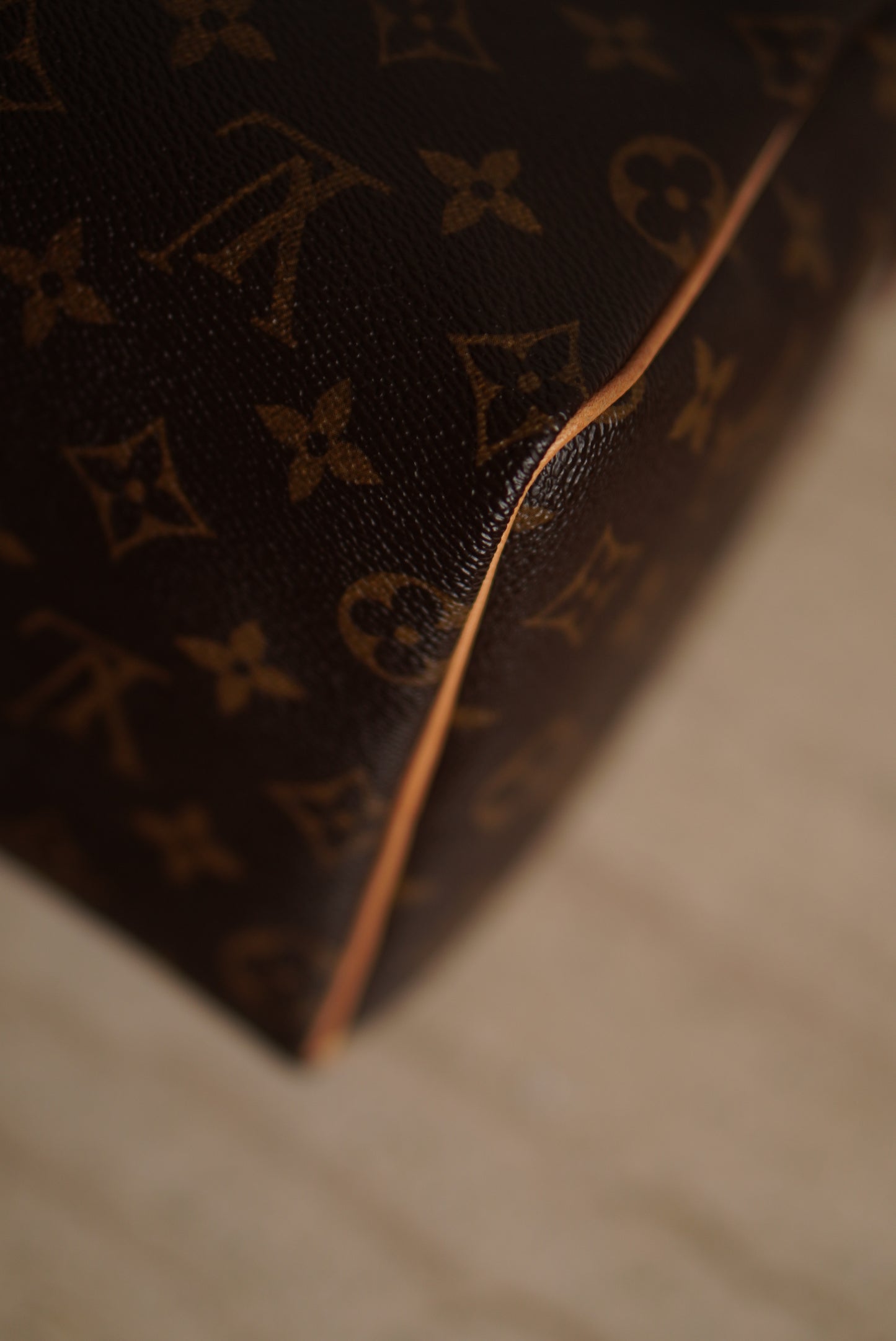 LOUIS VUITTON SPEEDY 25