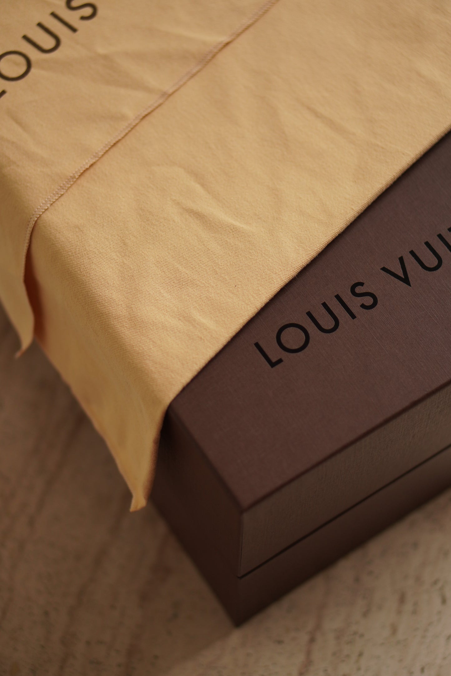 LOUIS VUITTON SPEEDY 25