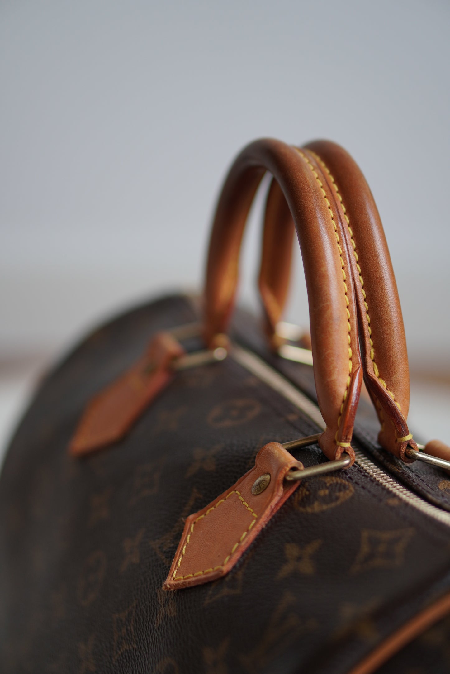 LOUIS VUITTON SPEEDY 30