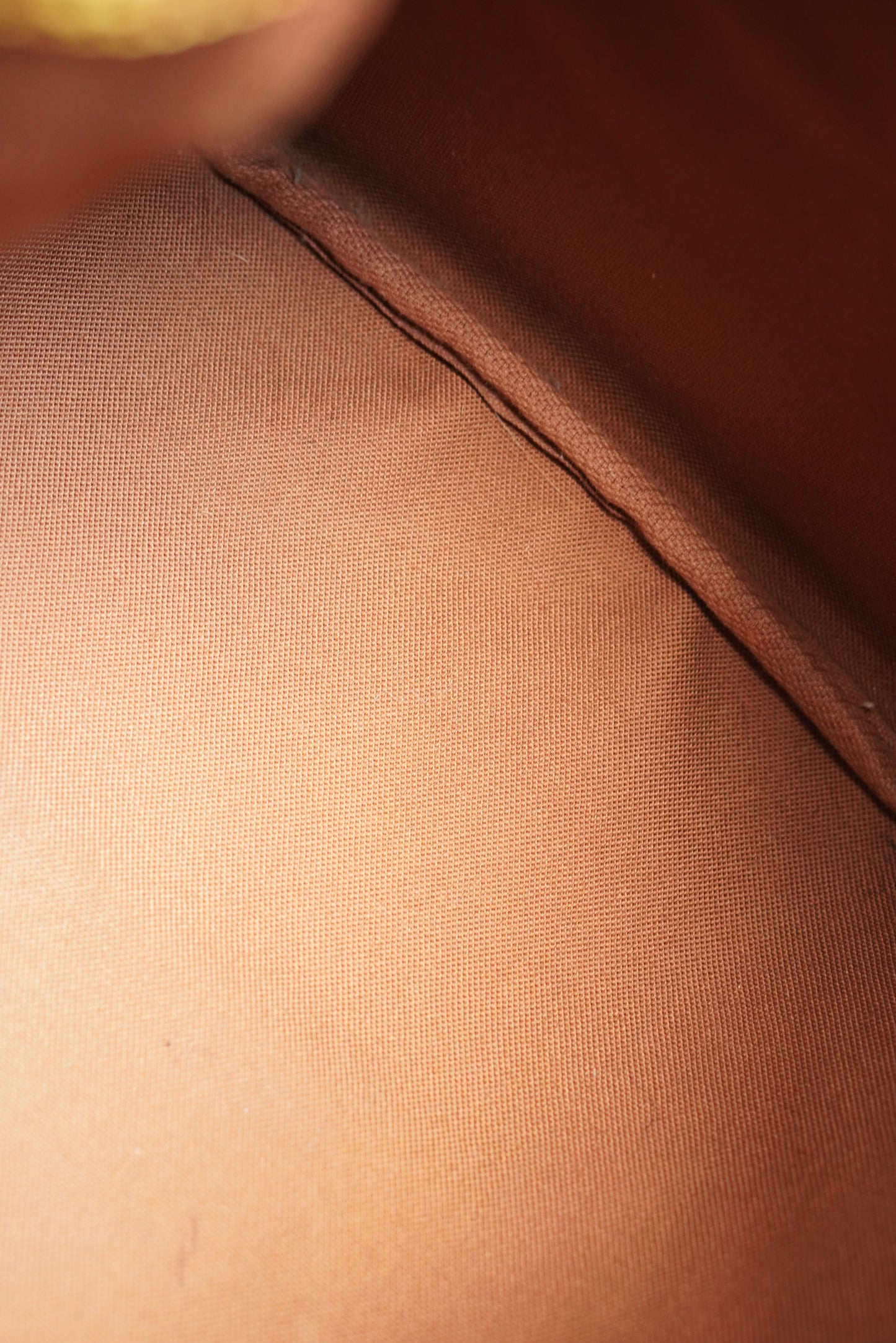 LOUIS VUITTON SPEEDY 35