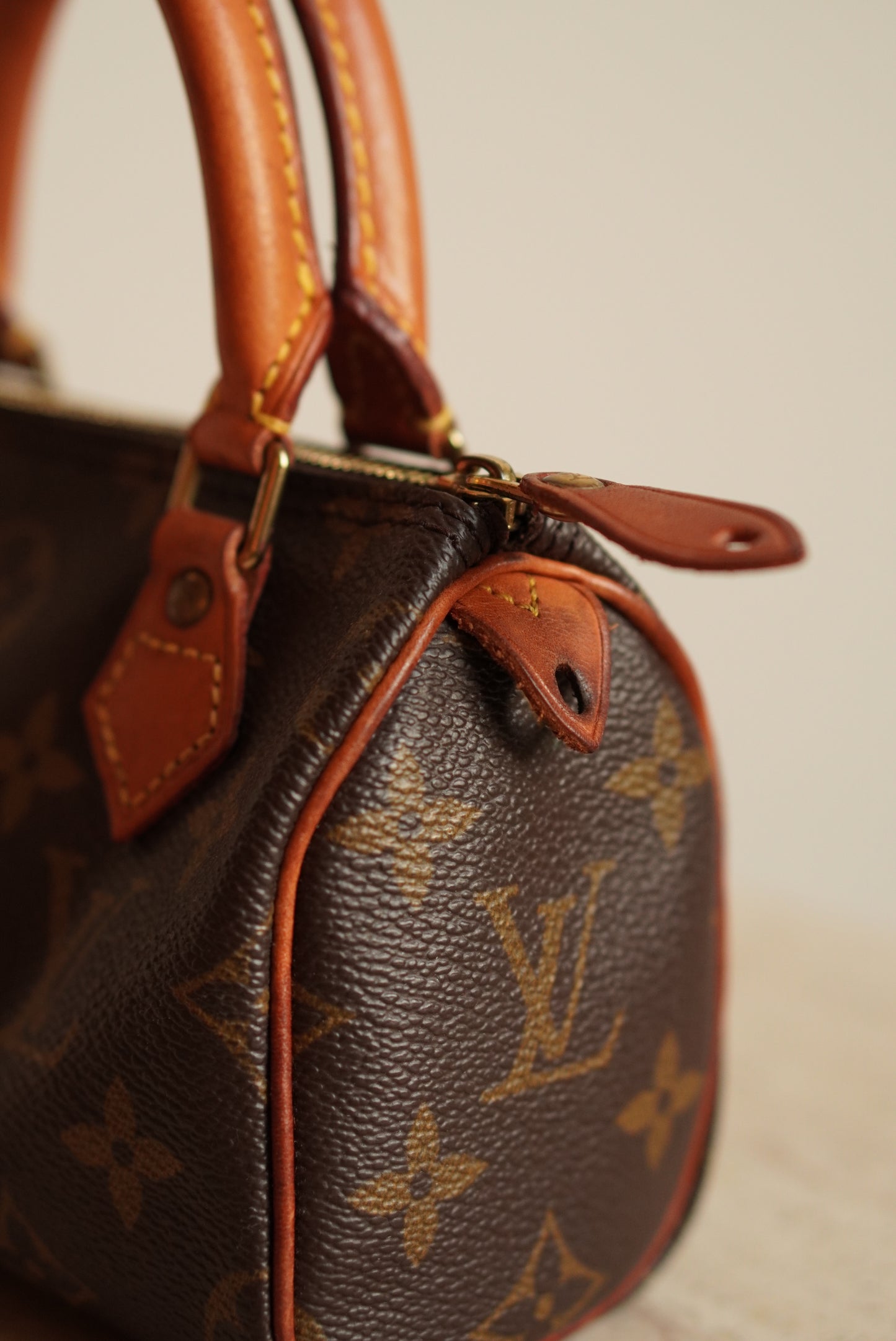 LOUIS VUITTON NANO SPEEDY