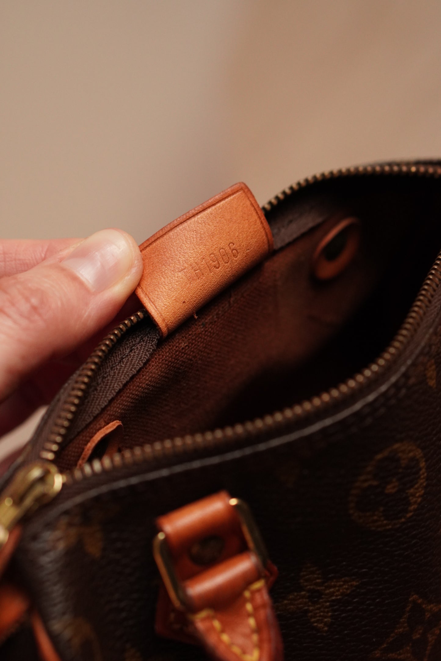 LOUIS VUITTON NANO SPEEDY