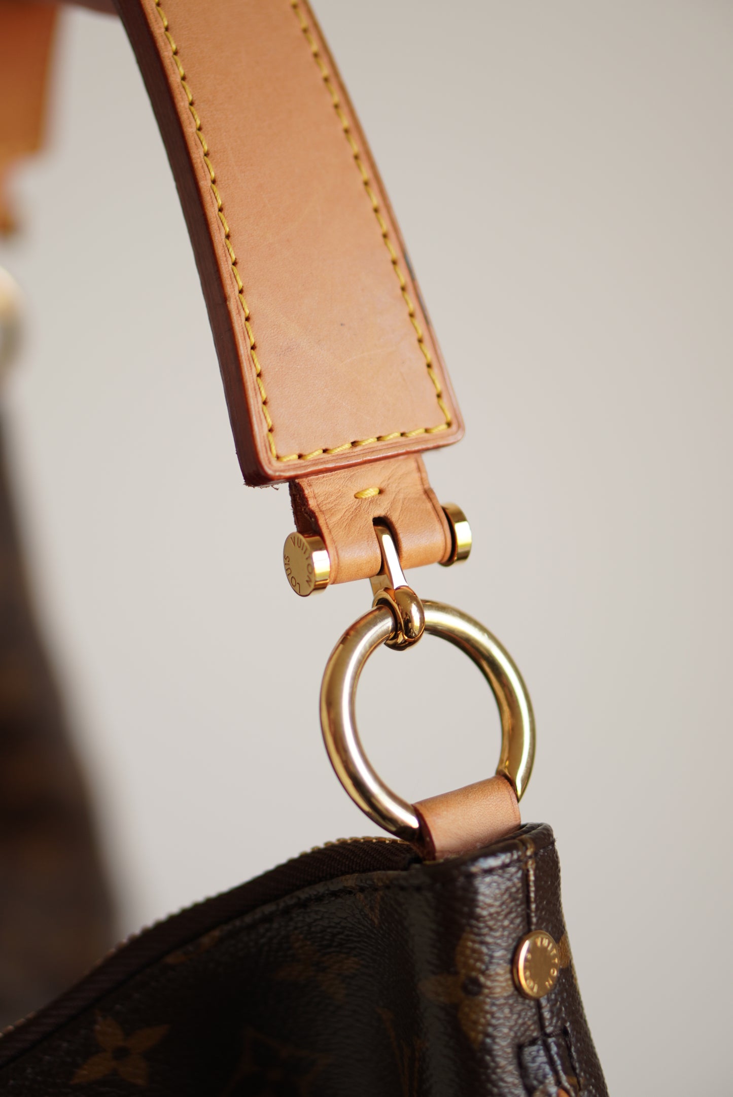 LOUIS VUITTON SULLY MM