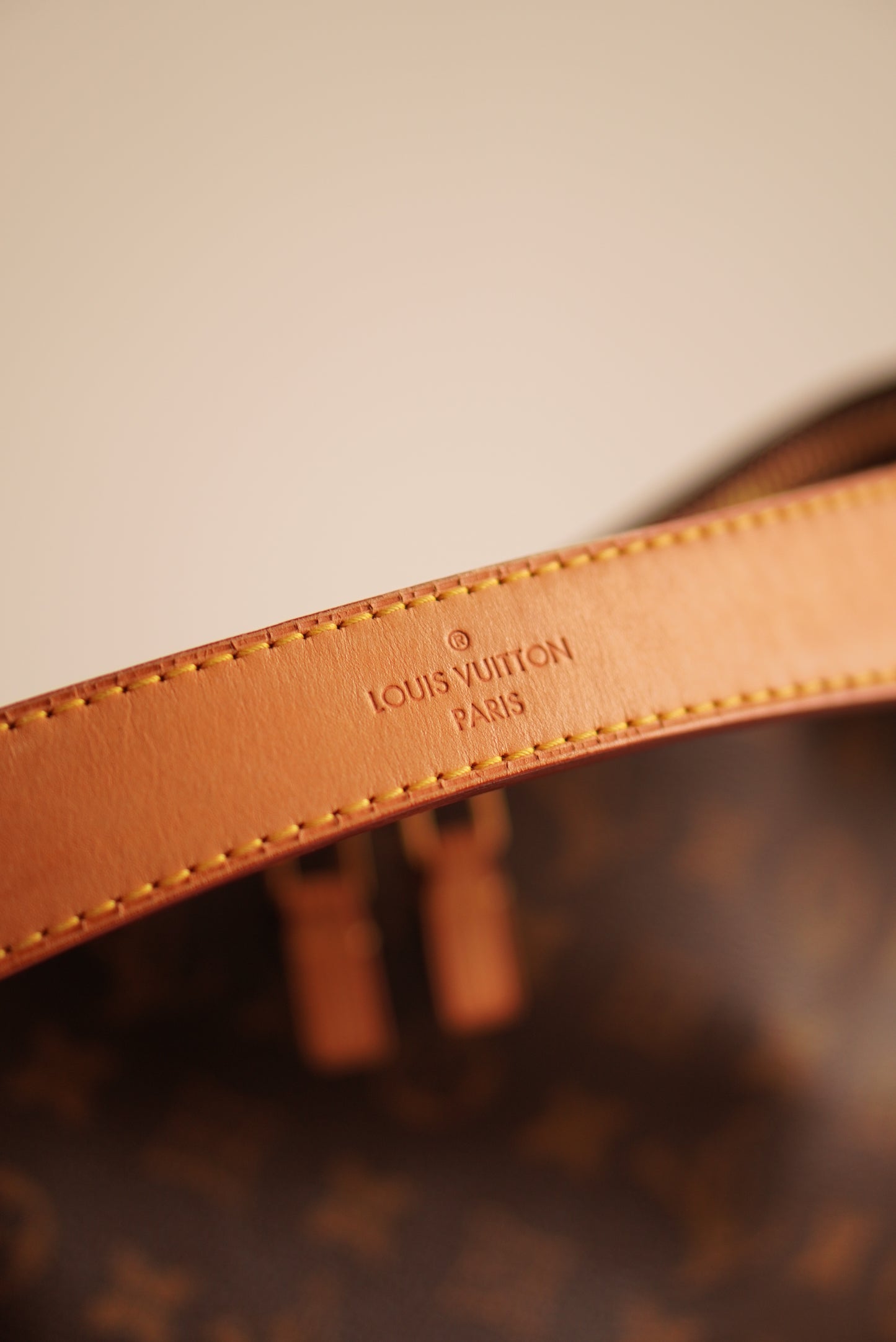 LOUIS VUITTON SULLY MM