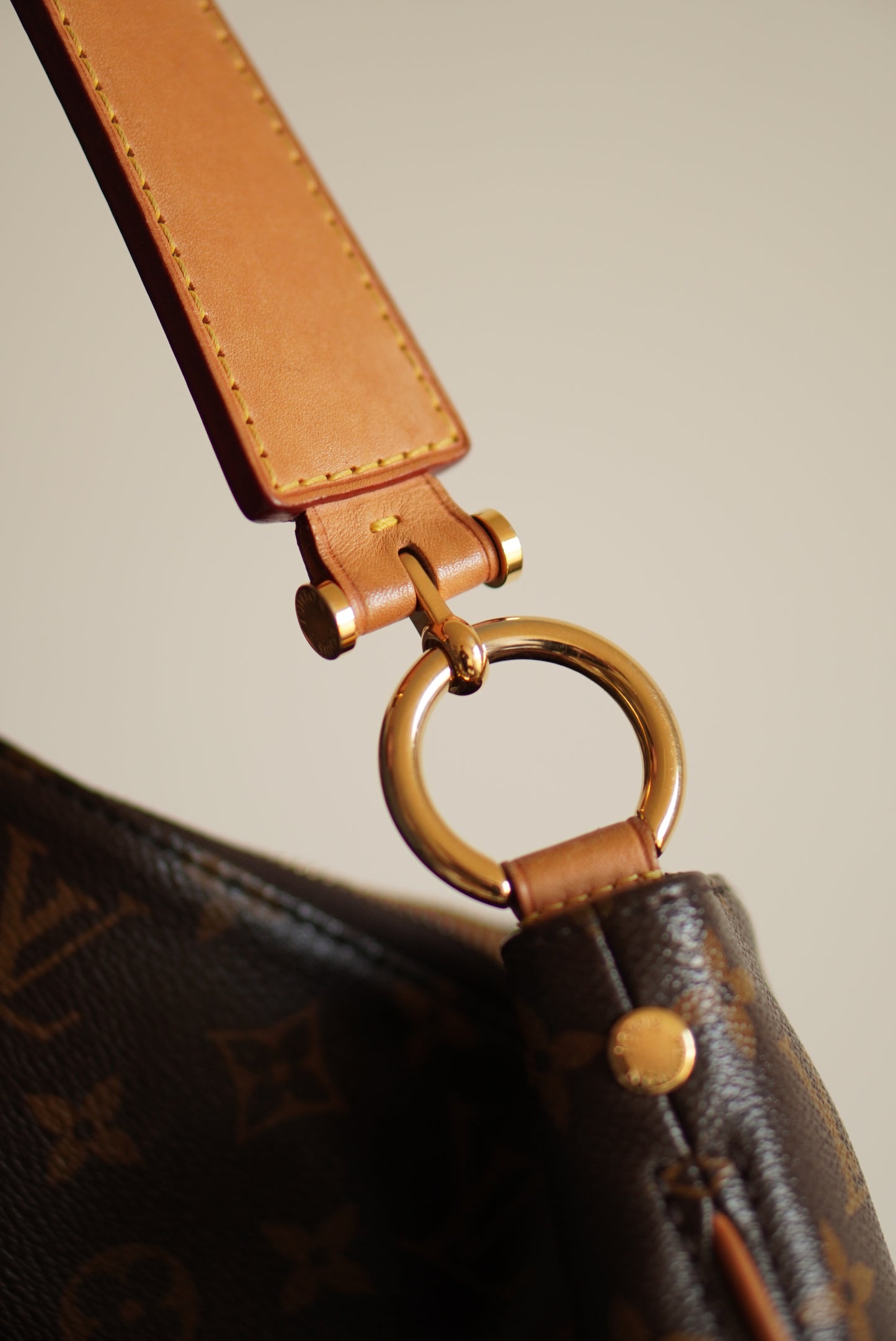 LOUIS VUITTON SULLY MM