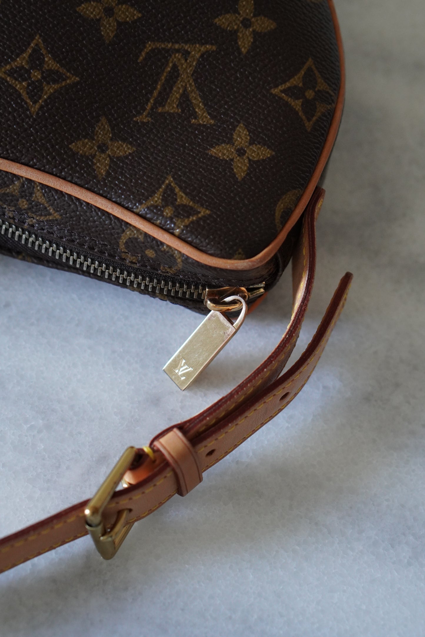 LOUIS VUITTON CROISSANT PM