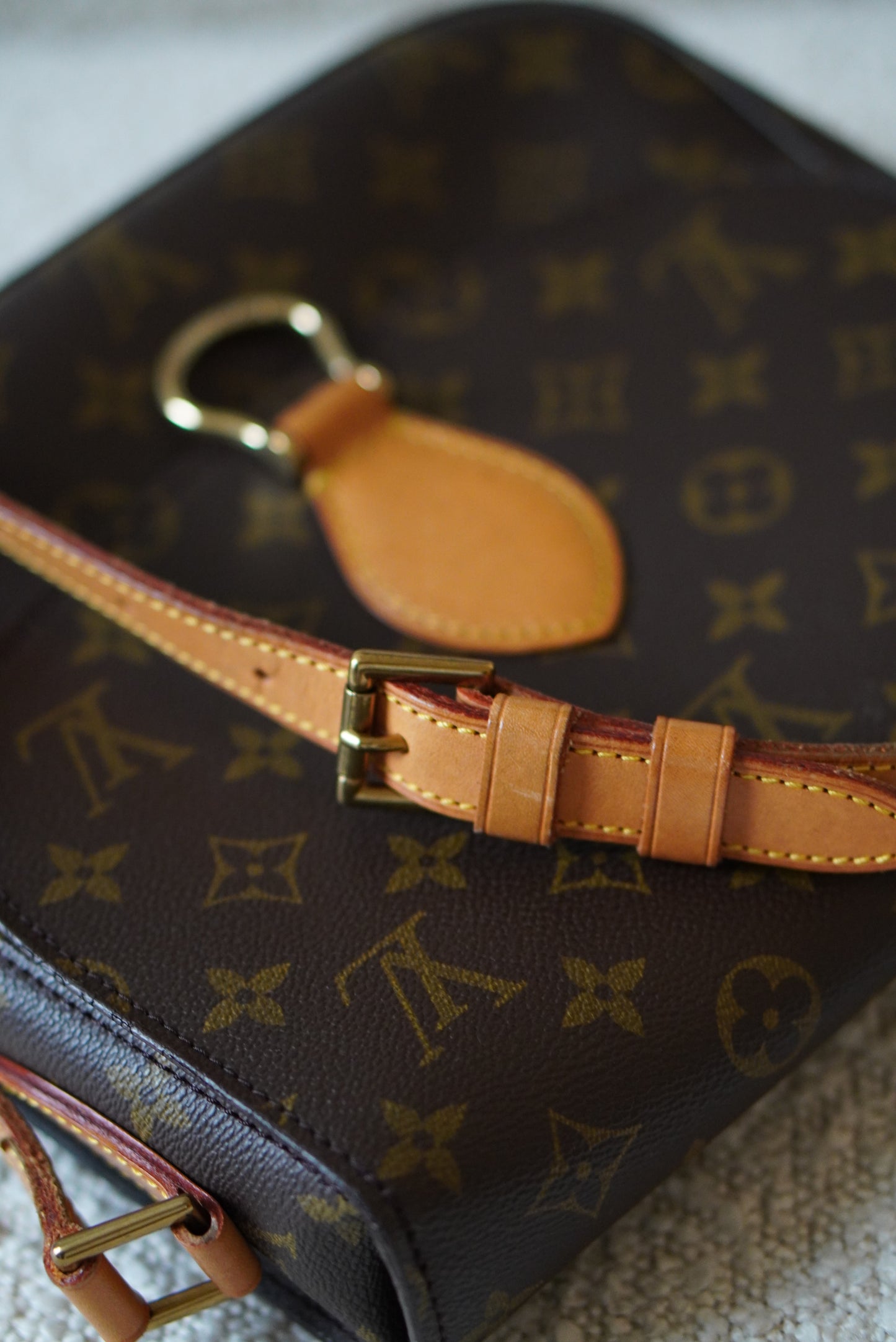 LOUIS VUITTON SAINT CLOUD GM