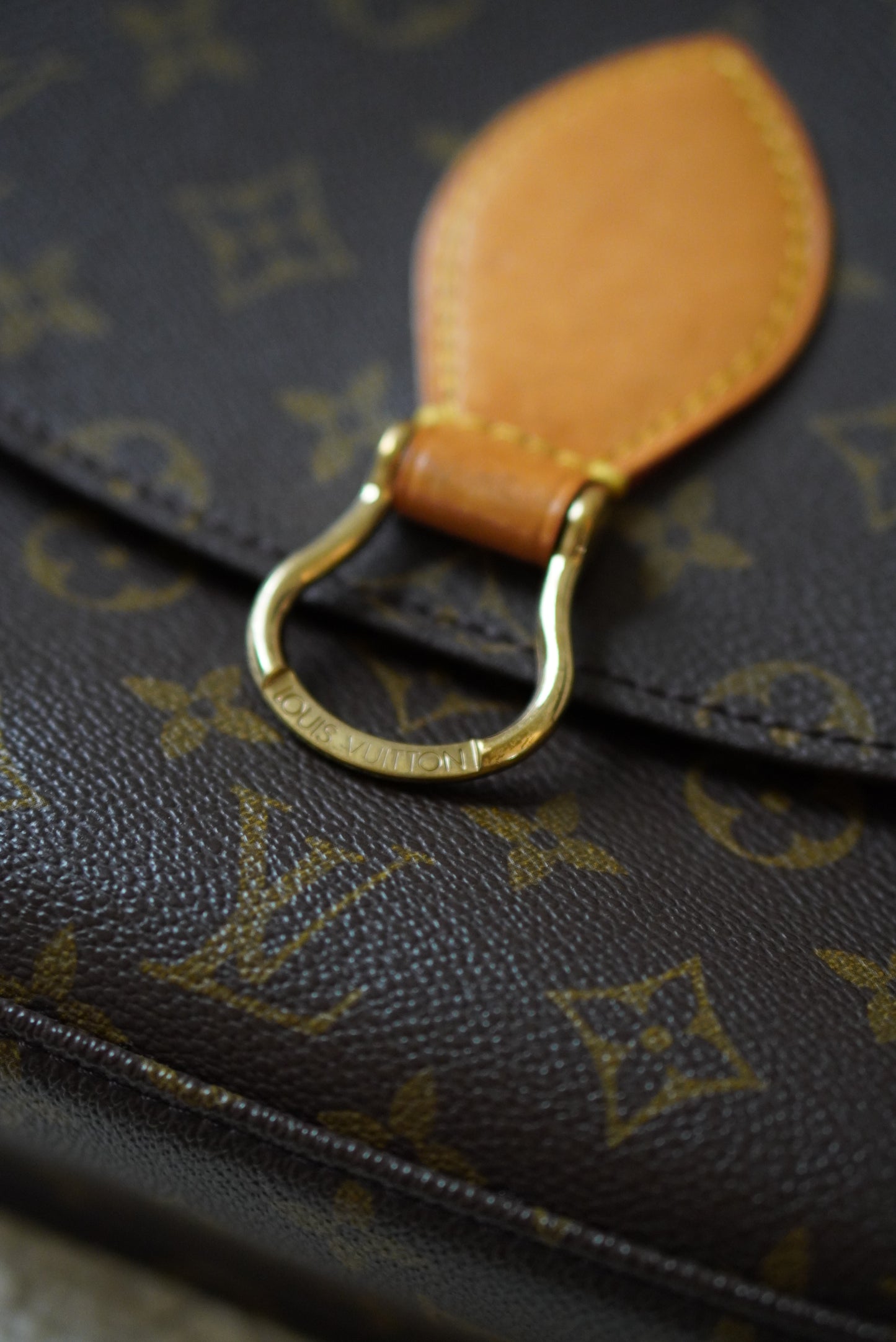 LOUIS VUITTON SAINT CLOUD GM