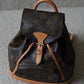 LOUIS VUITTON MONTSOURIS PM