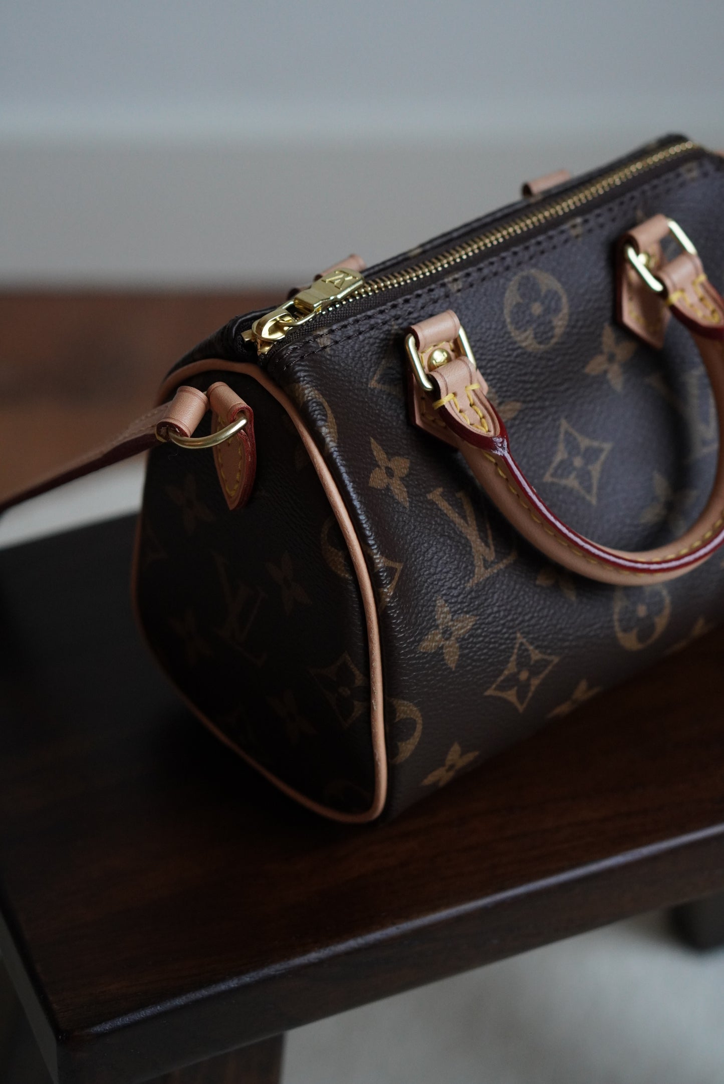 LOUIS VUITTON NANO SPEEDY