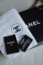 CHANEL CLASSIC MEDIUM DOUBLE FLAP