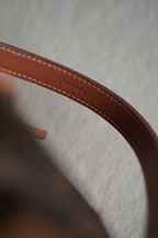 LOUIS VUITTON NOÉ GM
