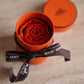 HERMÈS TWILLY