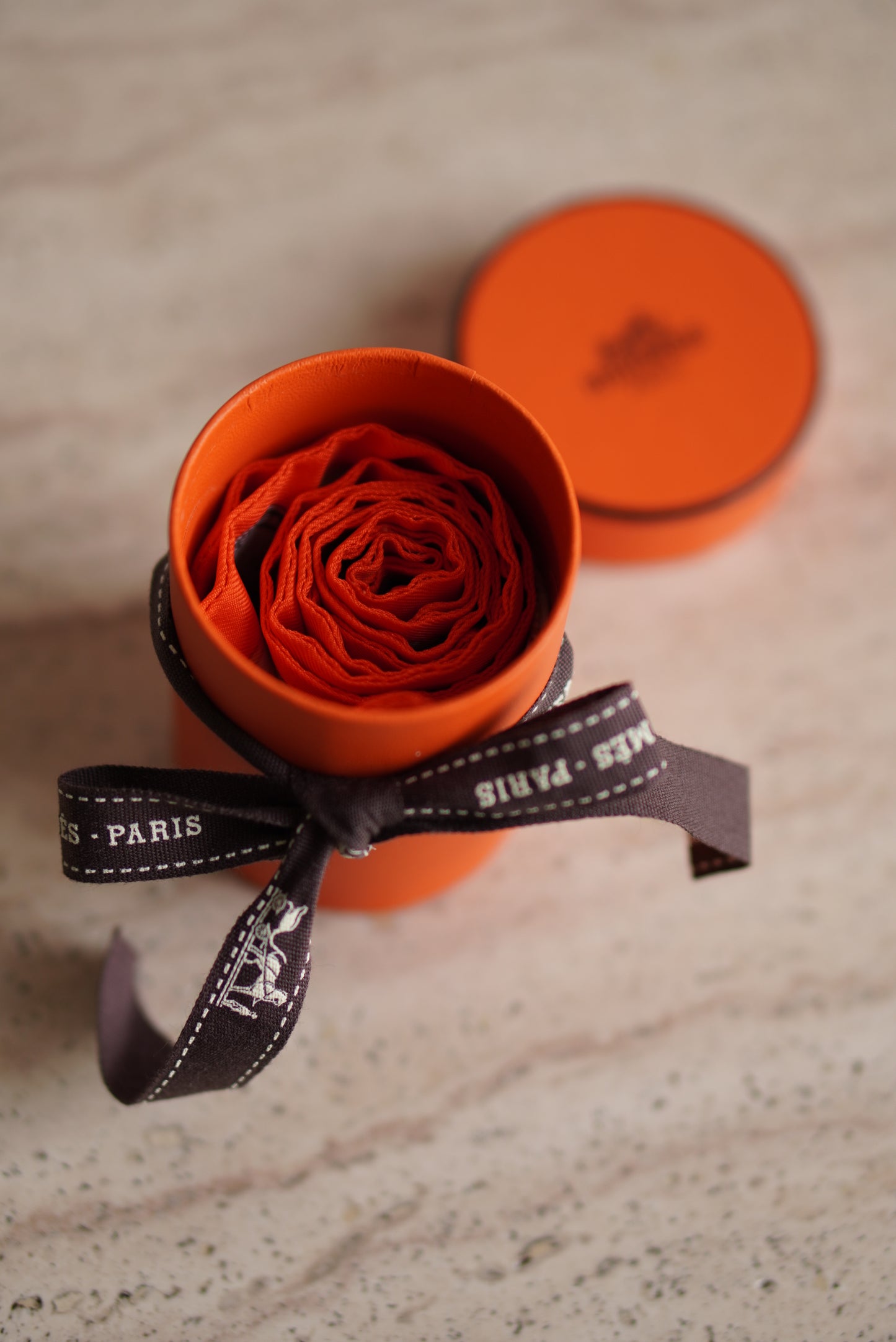 HERMÈS TWILLY