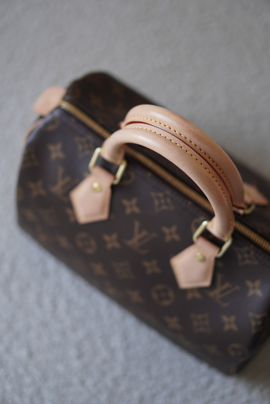 LOUIS VUITTON SPEEDY 25