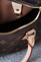 LOUIS VUITTON SPEEDY 25
