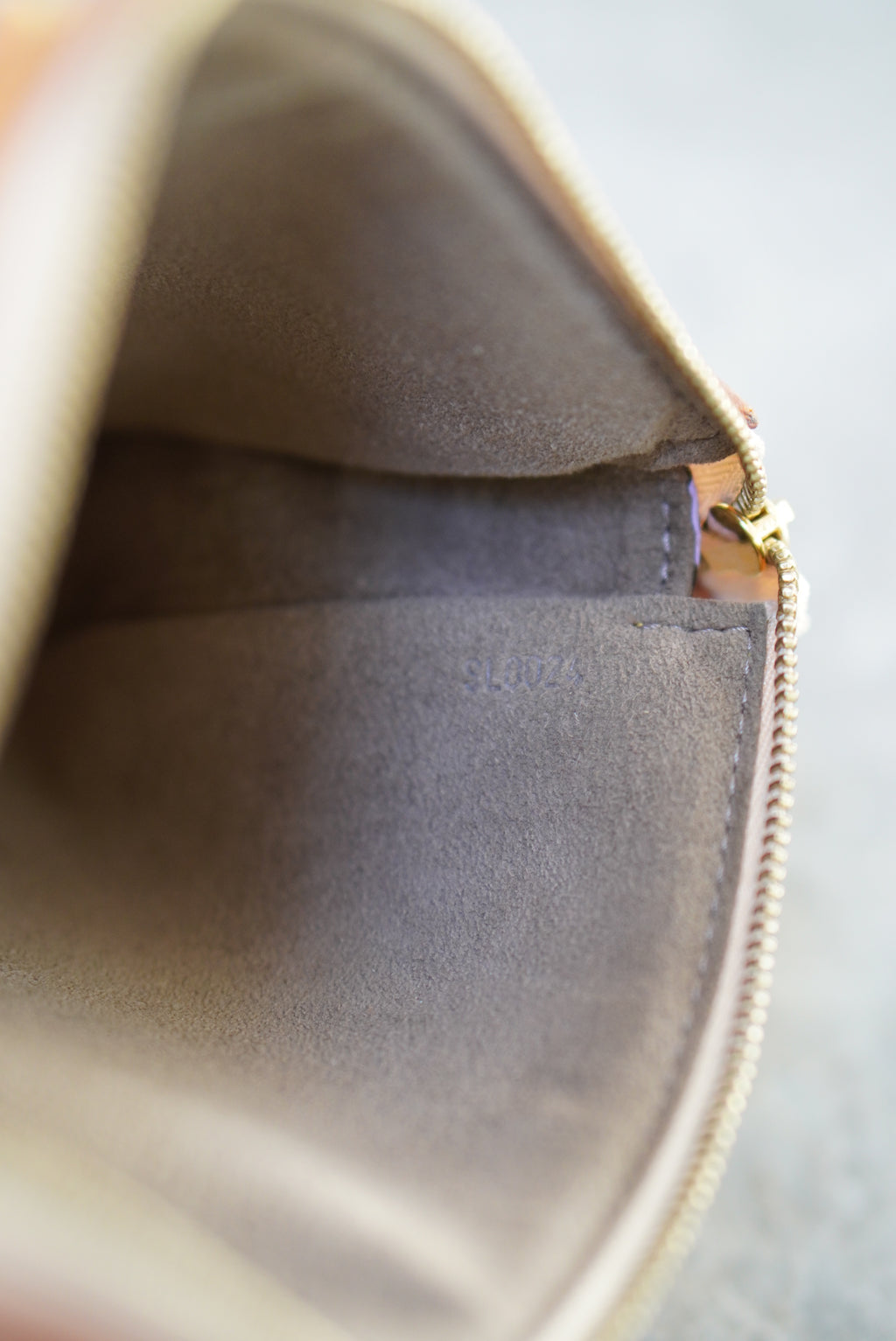 LOUIS VUITTON POCHETTE ACCESSOIRES