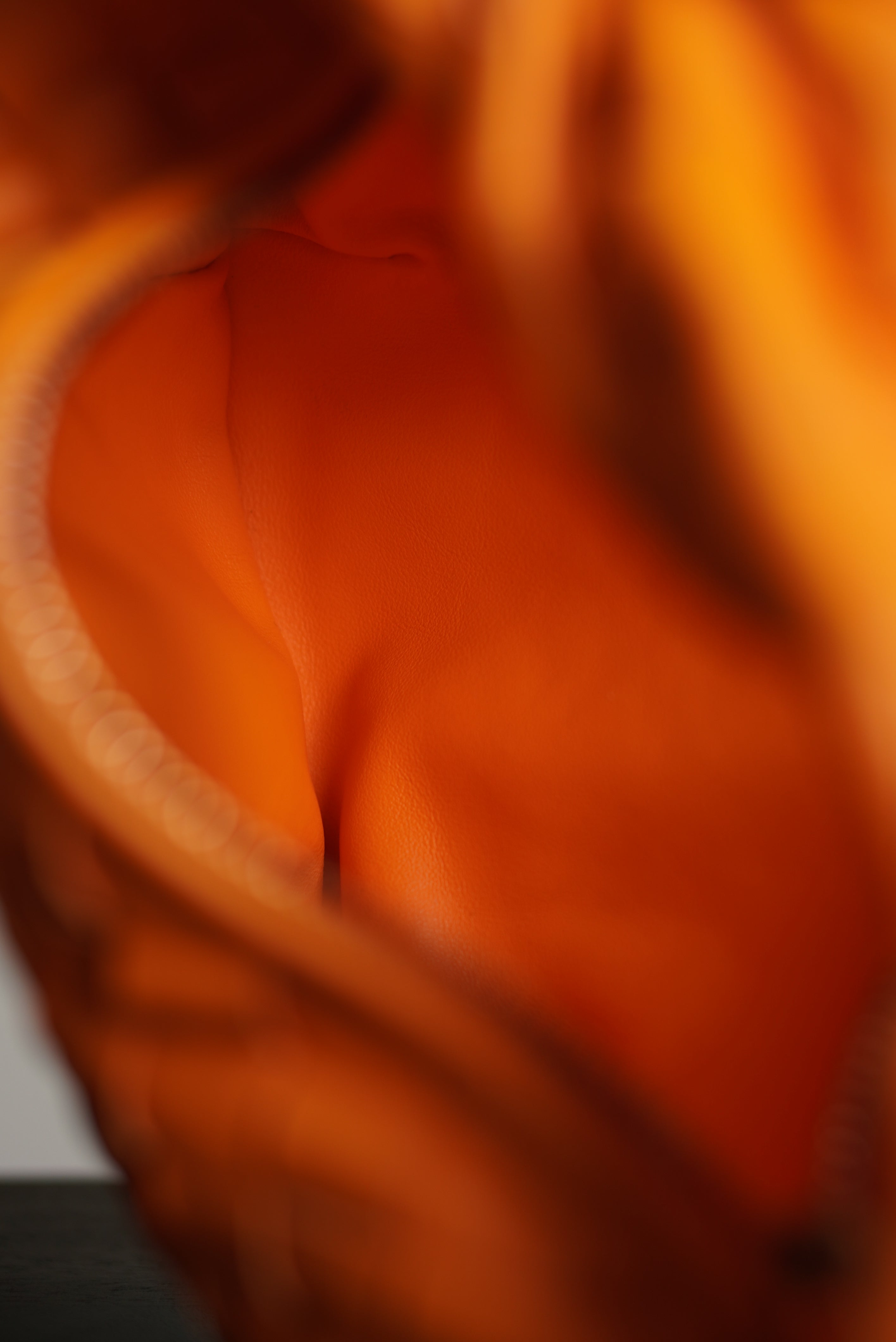 BOTTEGA VENETA MINI JODIE | ORANGE